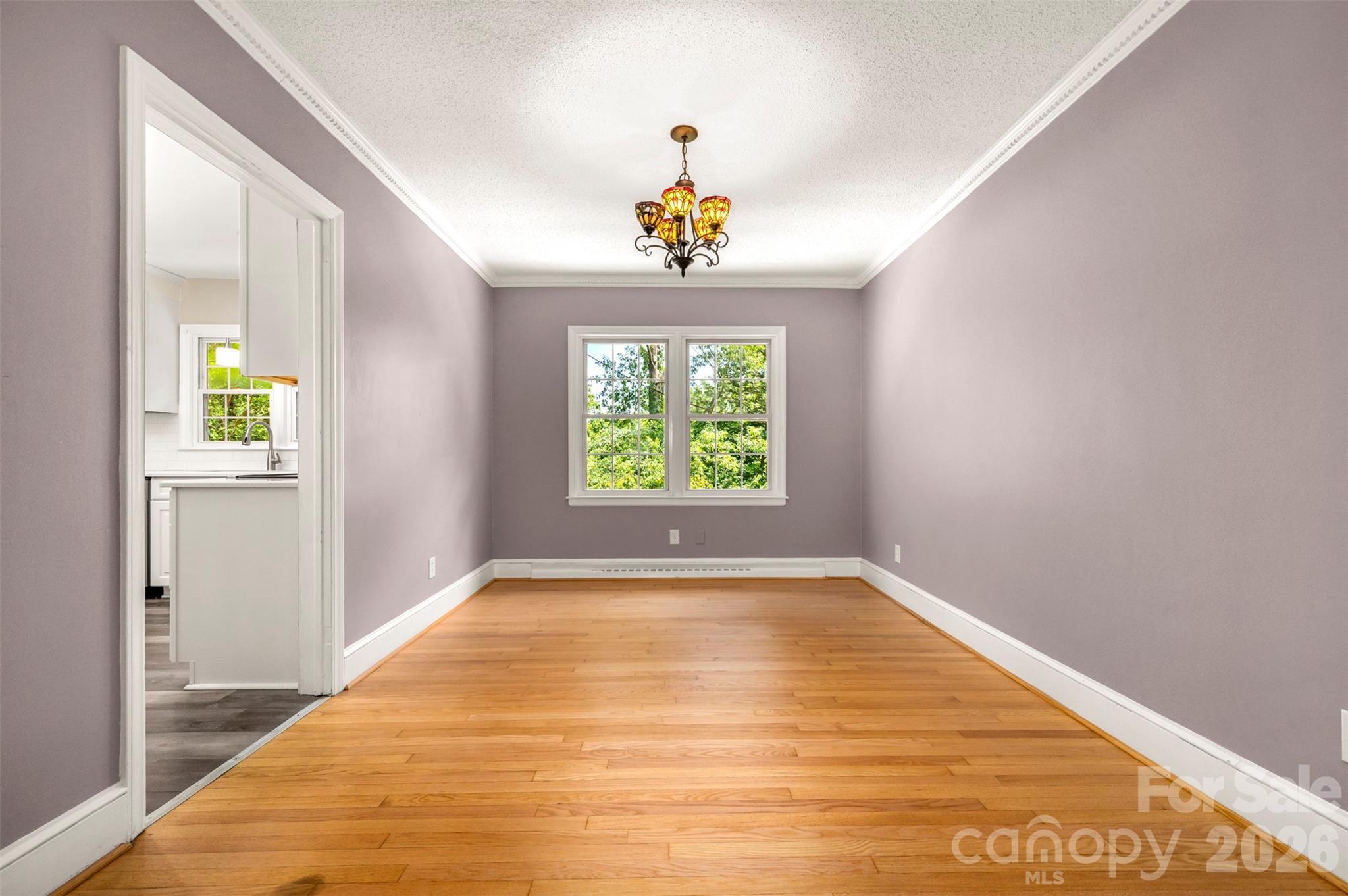 303 Elizabeth Avenue — Forest City