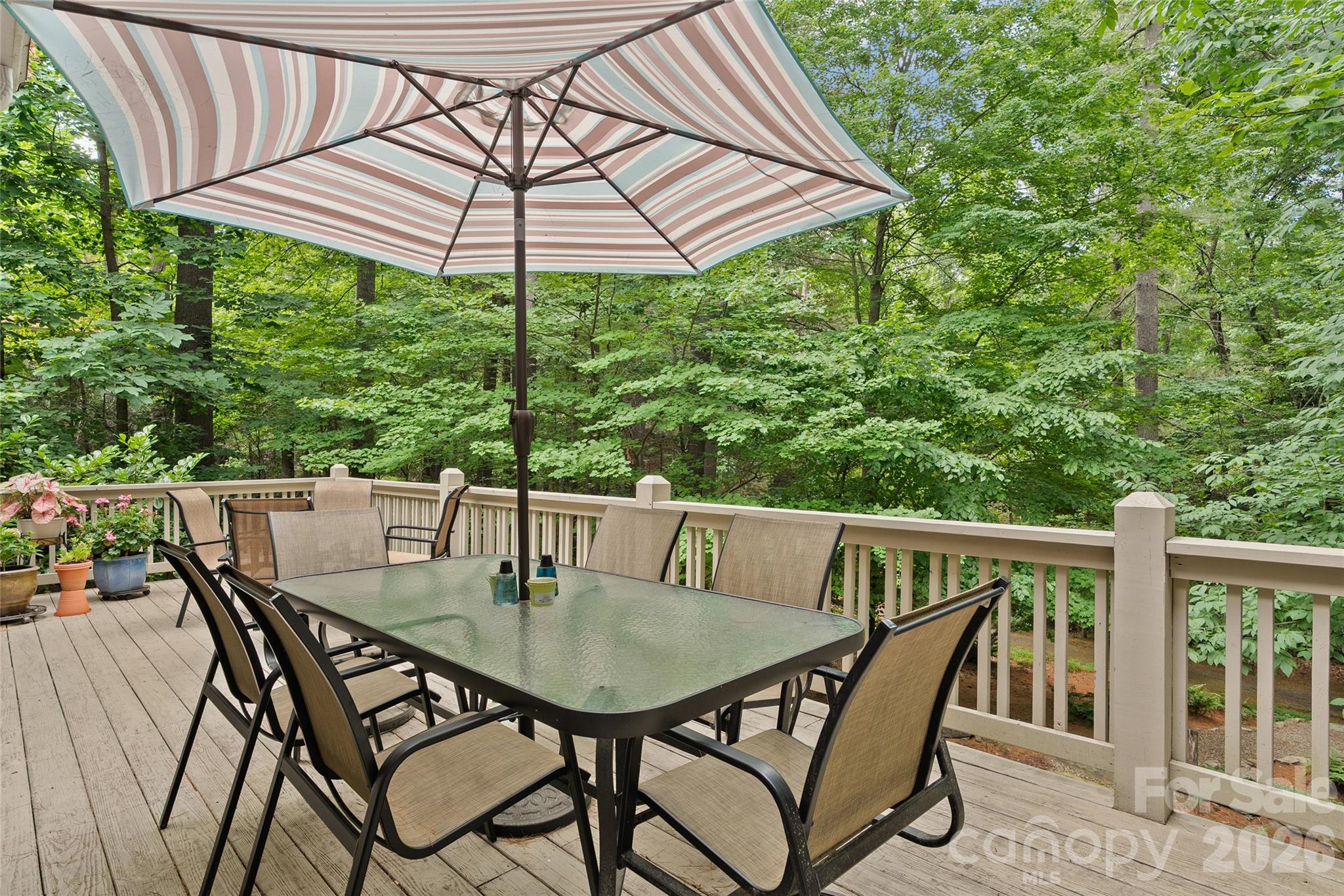 626 Wickhams Fancy Drive — Biltmore Lake