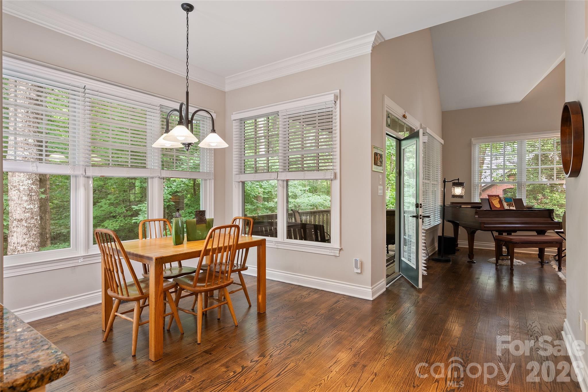 626 Wickhams Fancy Drive — Biltmore Lake