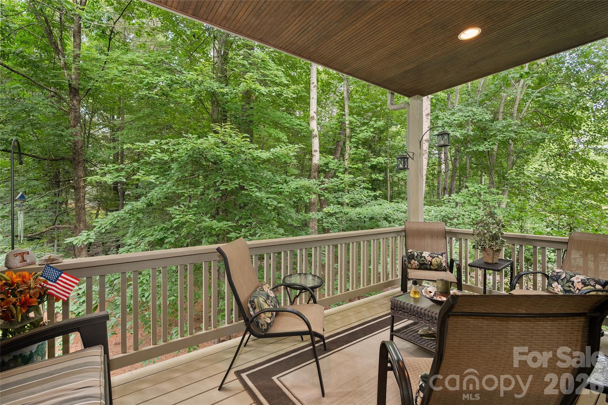 626 Wickhams Fancy Drive — Biltmore Lake