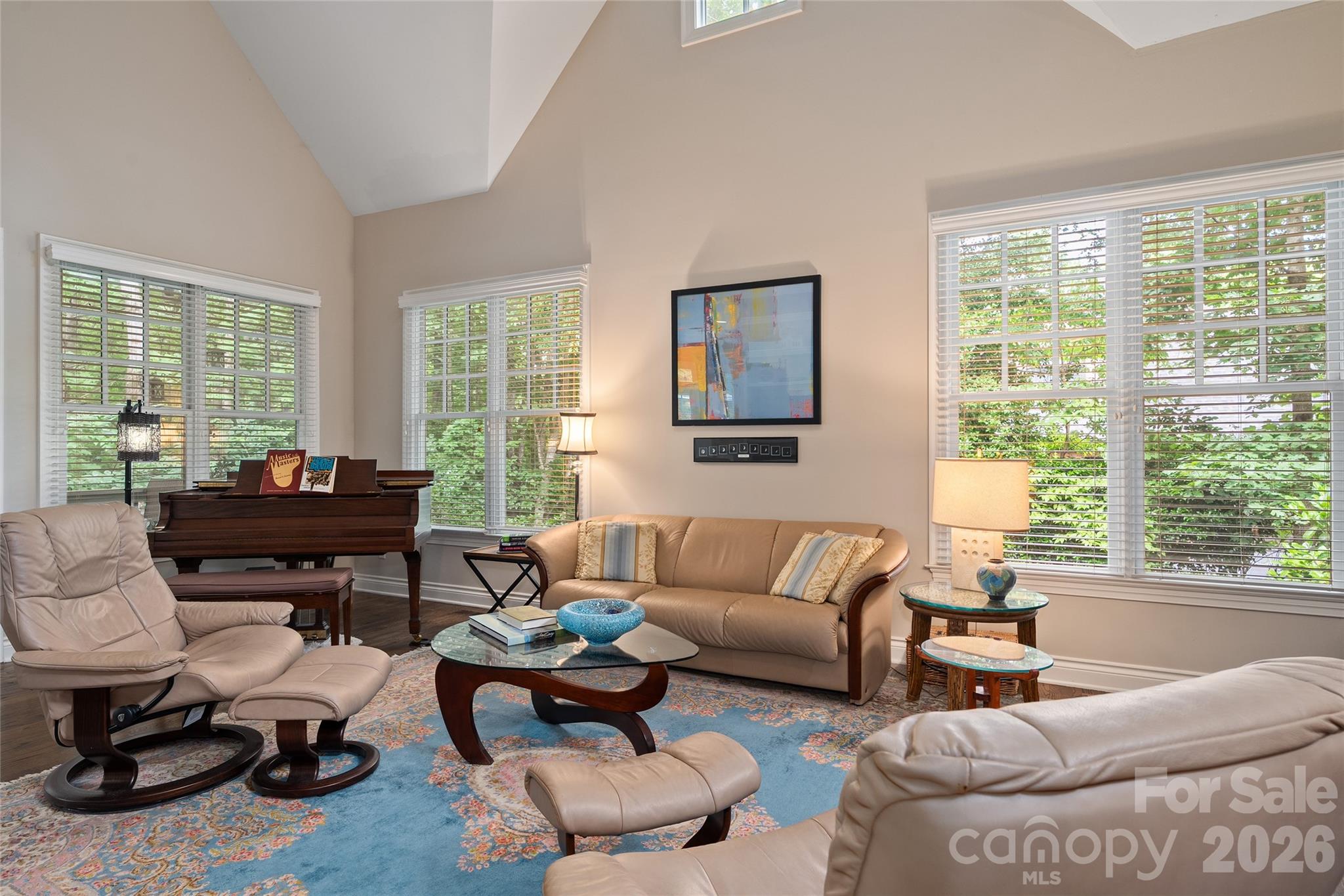 626 Wickhams Fancy Drive — Biltmore Lake