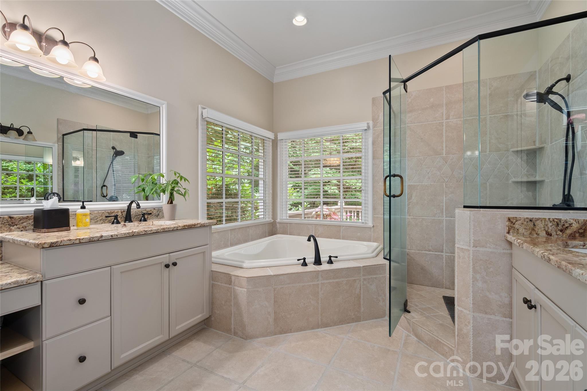 626 Wickhams Fancy Drive — Biltmore Lake