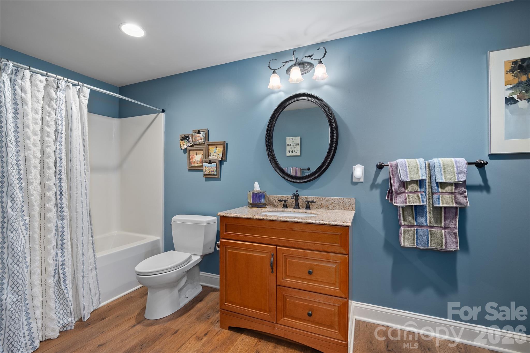 626 Wickhams Fancy Drive — Biltmore Lake