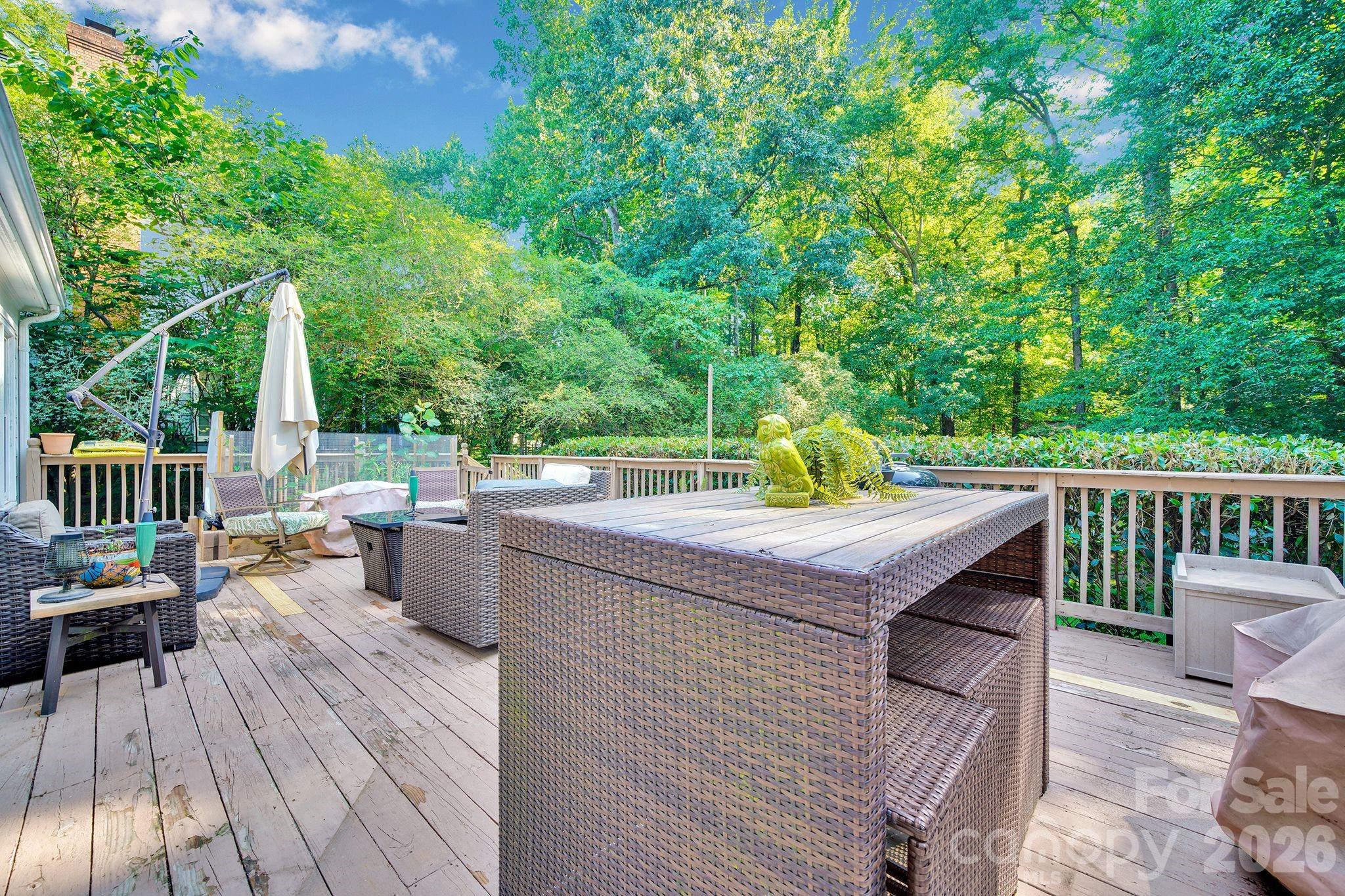 3616 Linden Berry Lane — Charlotte