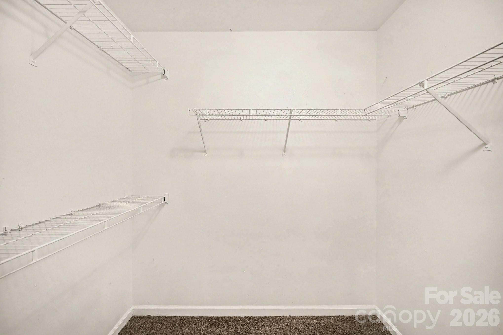 2732 Black Walnut Lane — Charlotte