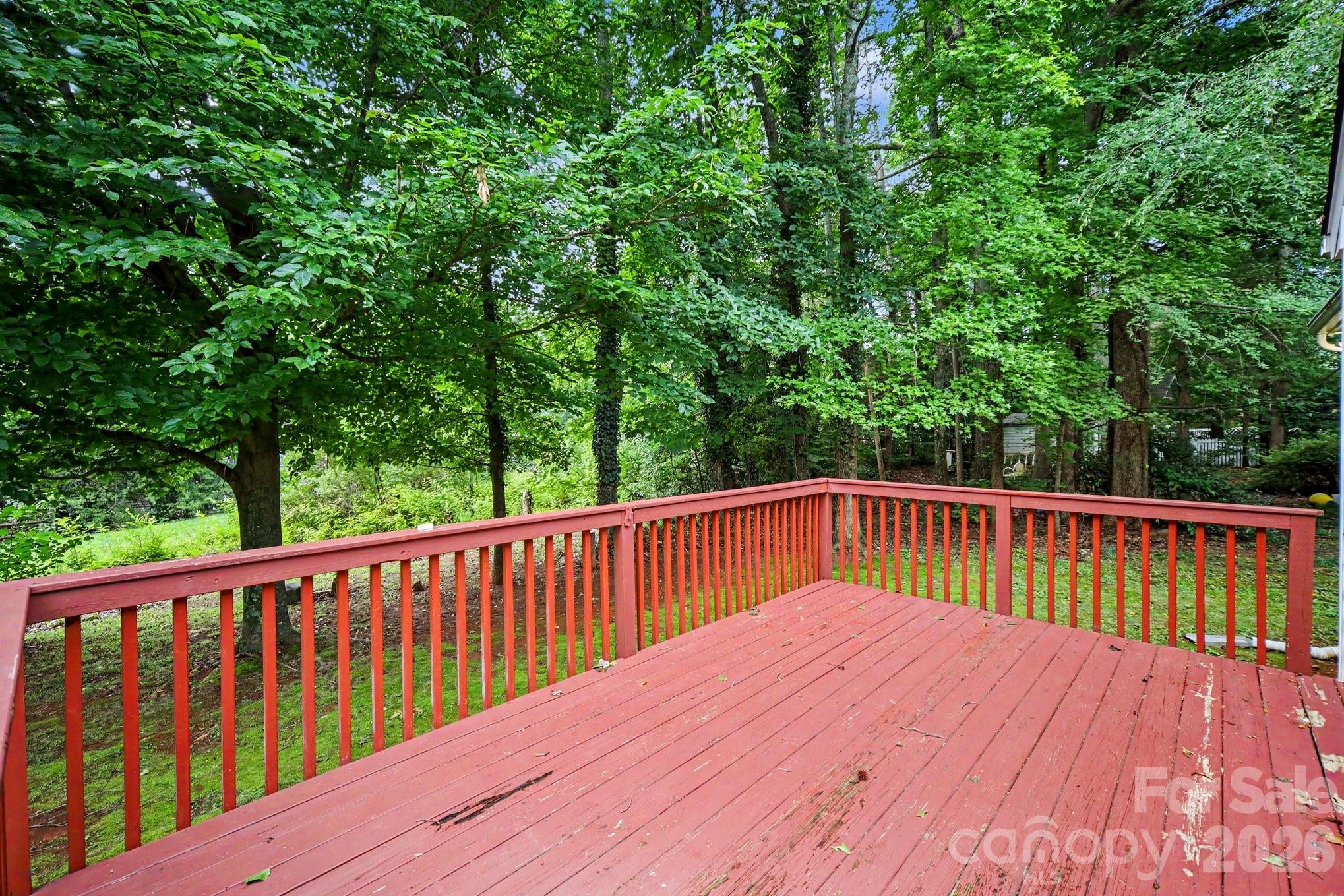 2732 Black Walnut Lane — Charlotte