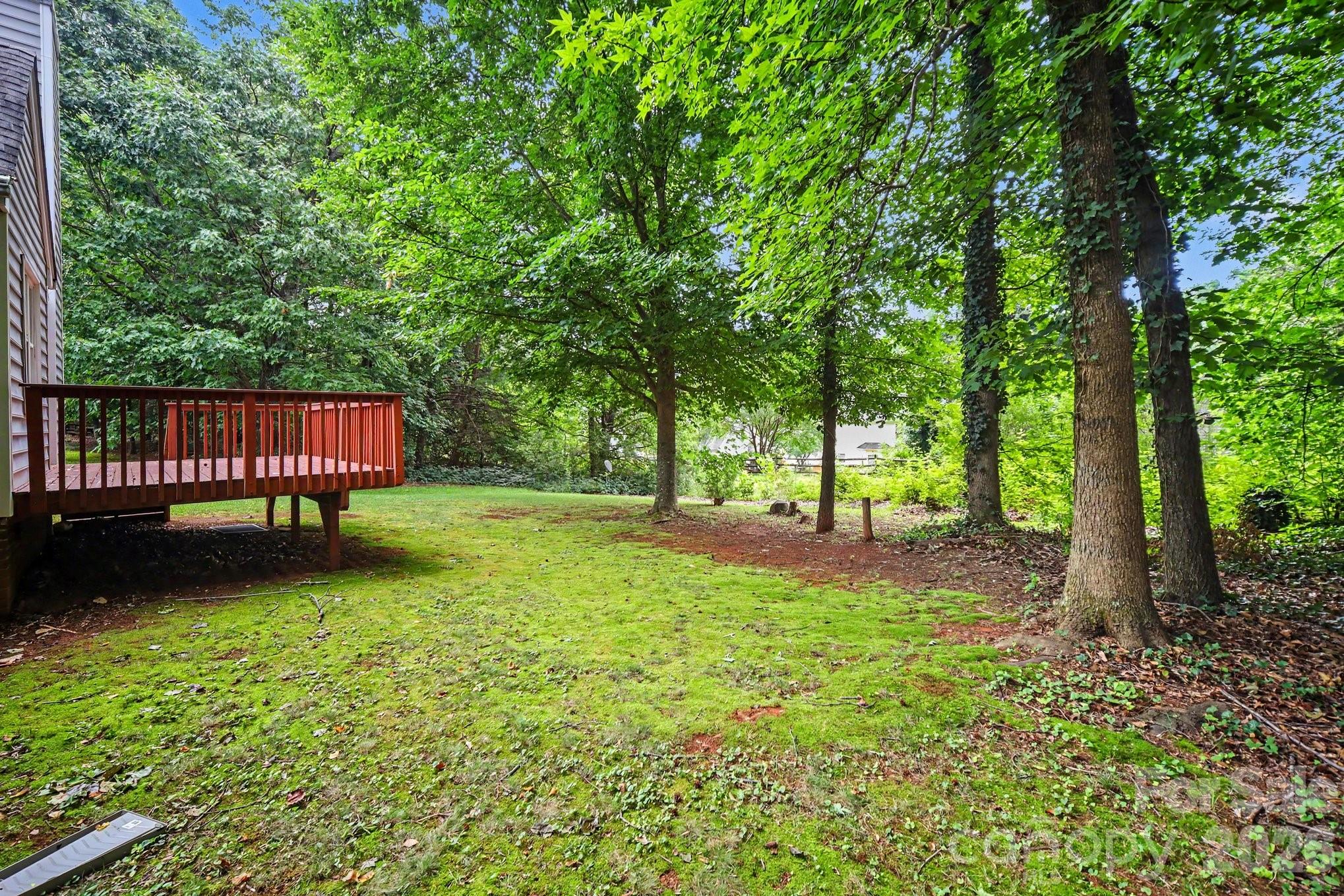 2732 Black Walnut Lane — Charlotte