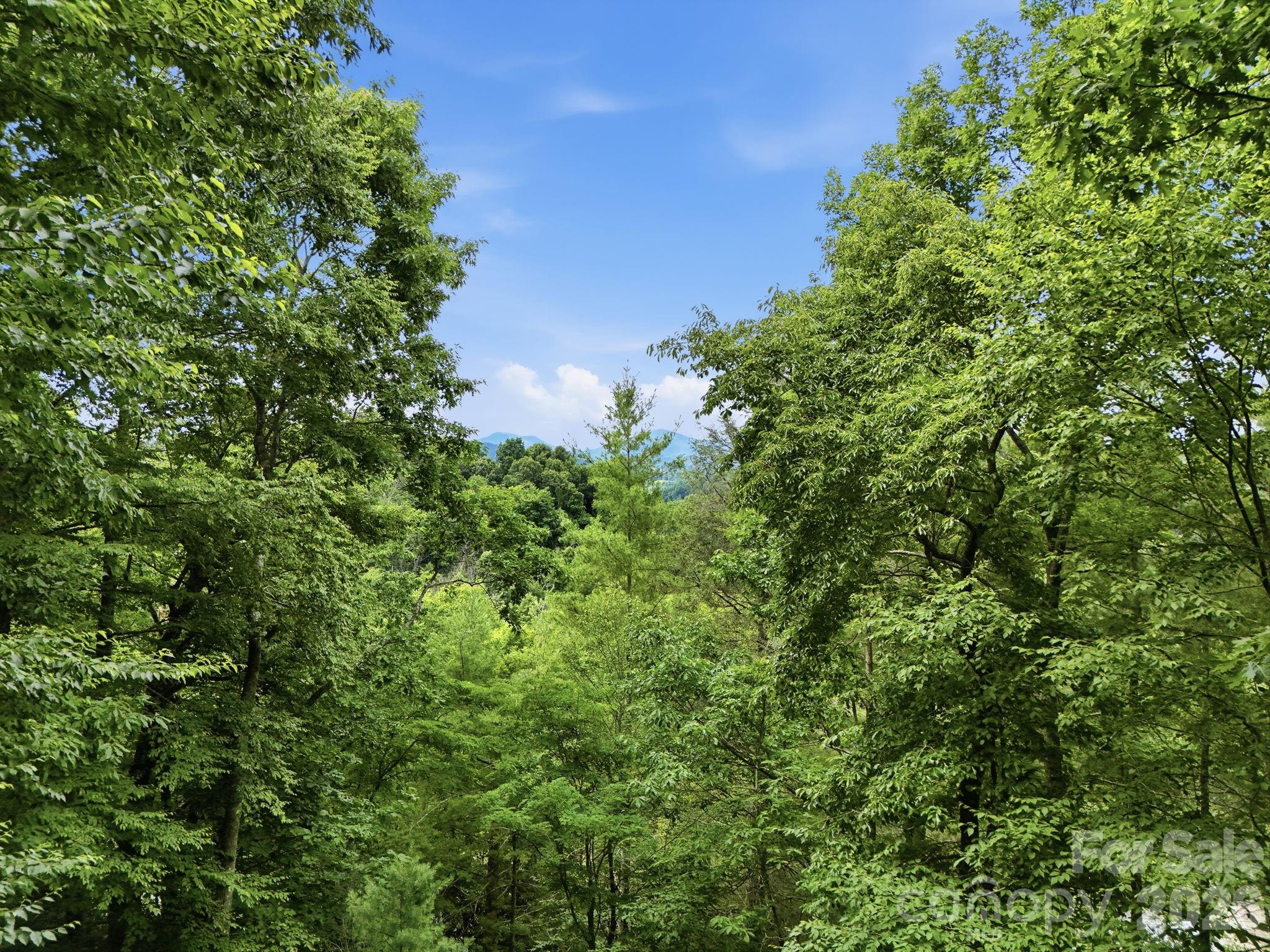 176 Ravens View — Boone