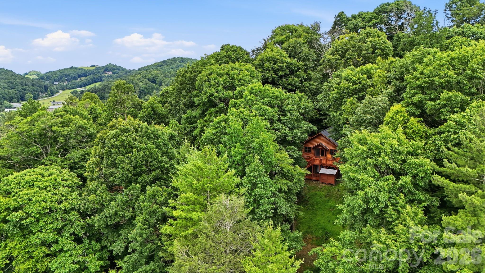 176 Ravens View — Boone