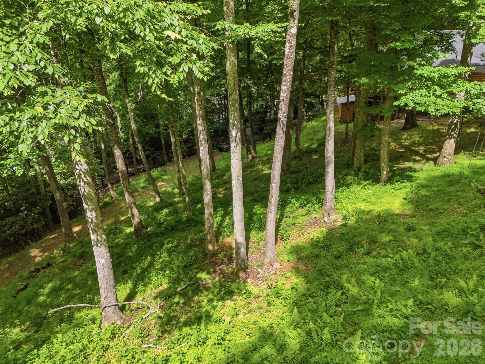 176 Ravens View — Boone