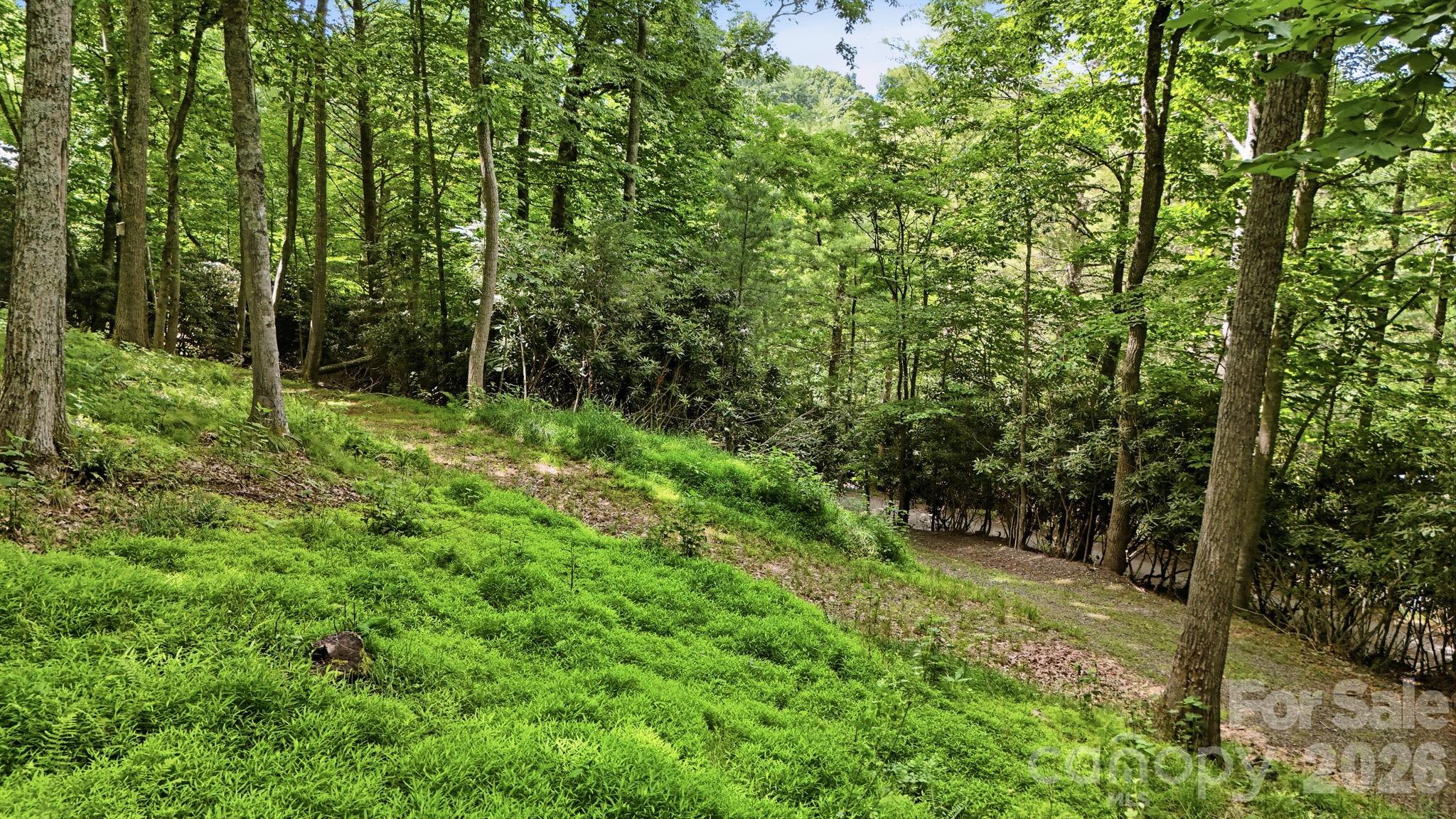 176 Ravens View — Boone