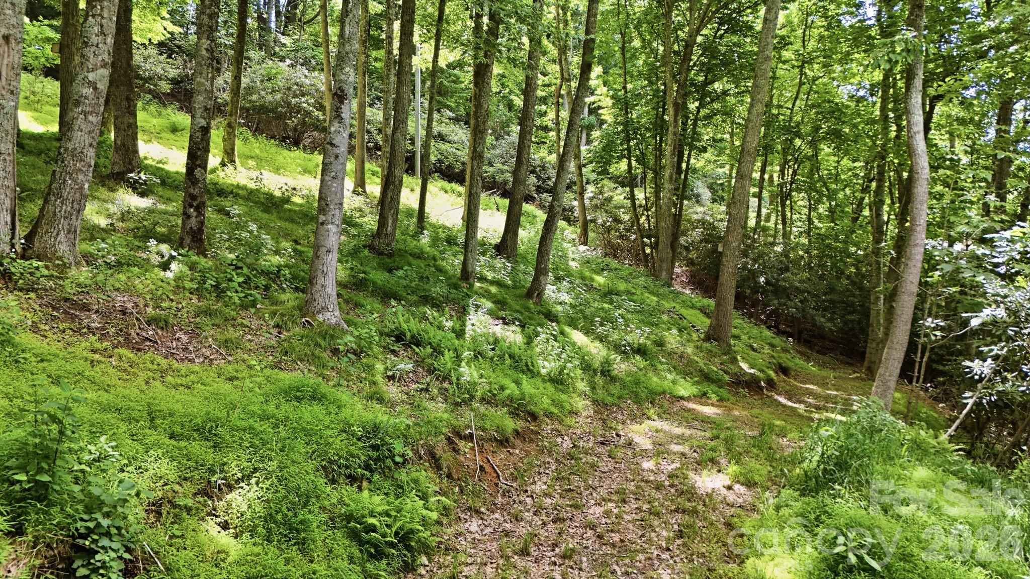 176 Ravens View — Boone