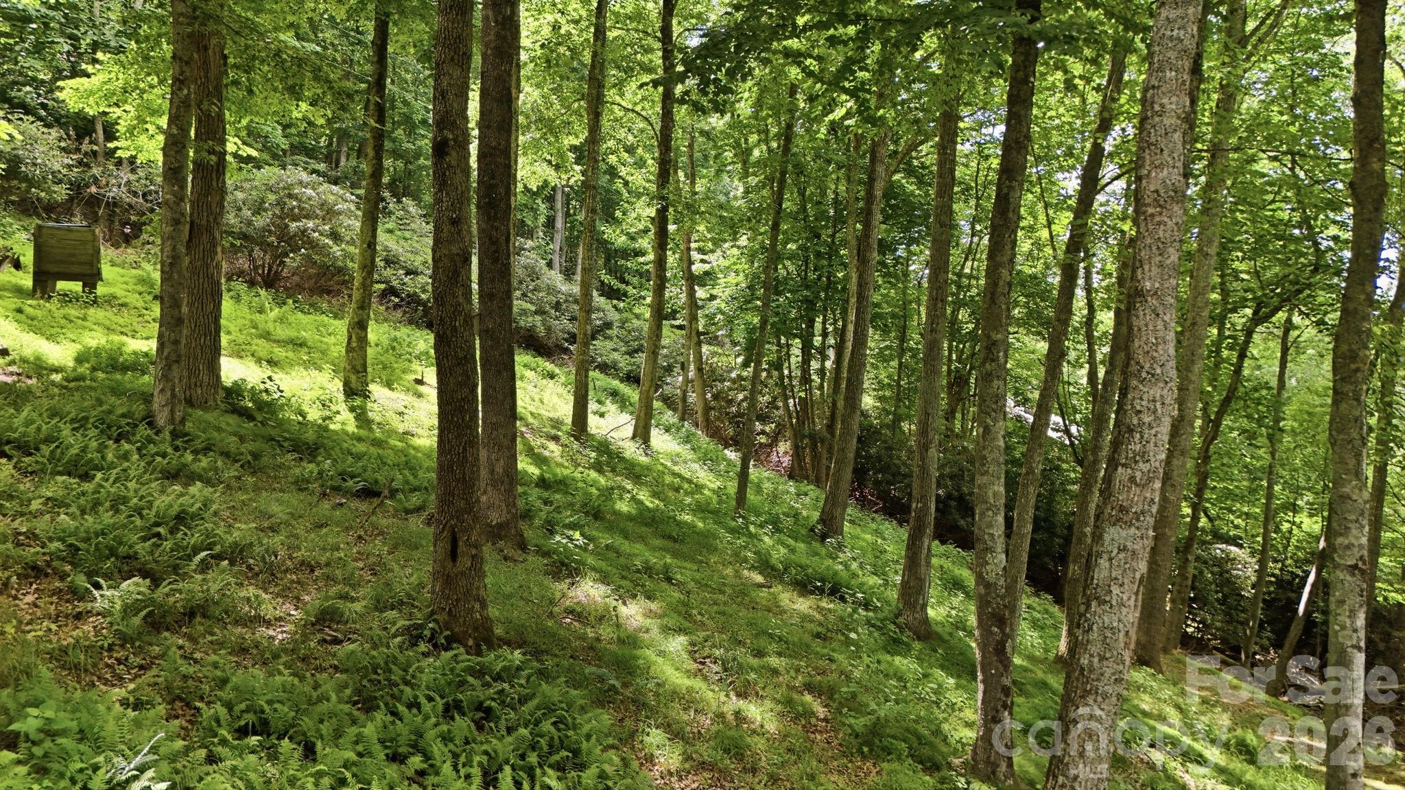 176 Ravens View — Boone