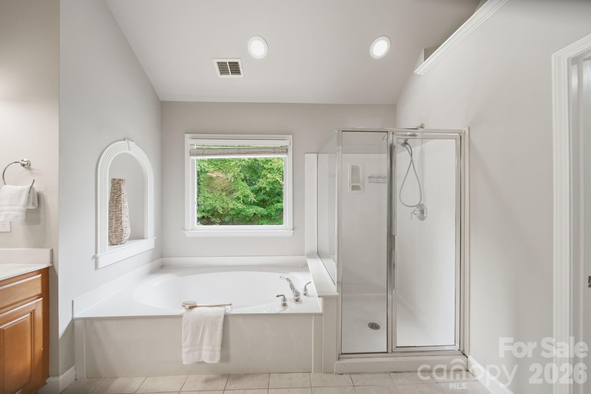 13818 Ballantyne Meadows Drive — Charlotte