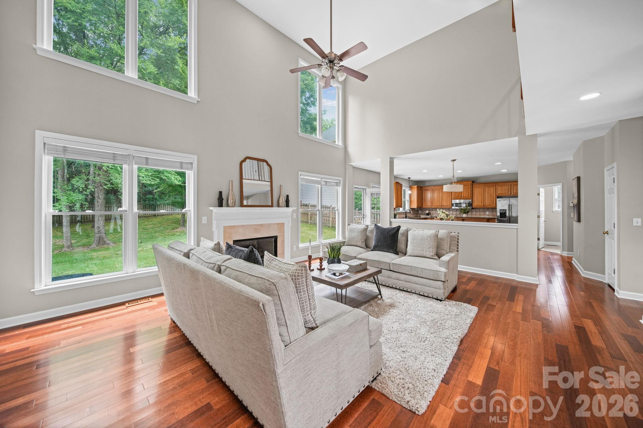 13818 Ballantyne Meadows Drive — Charlotte