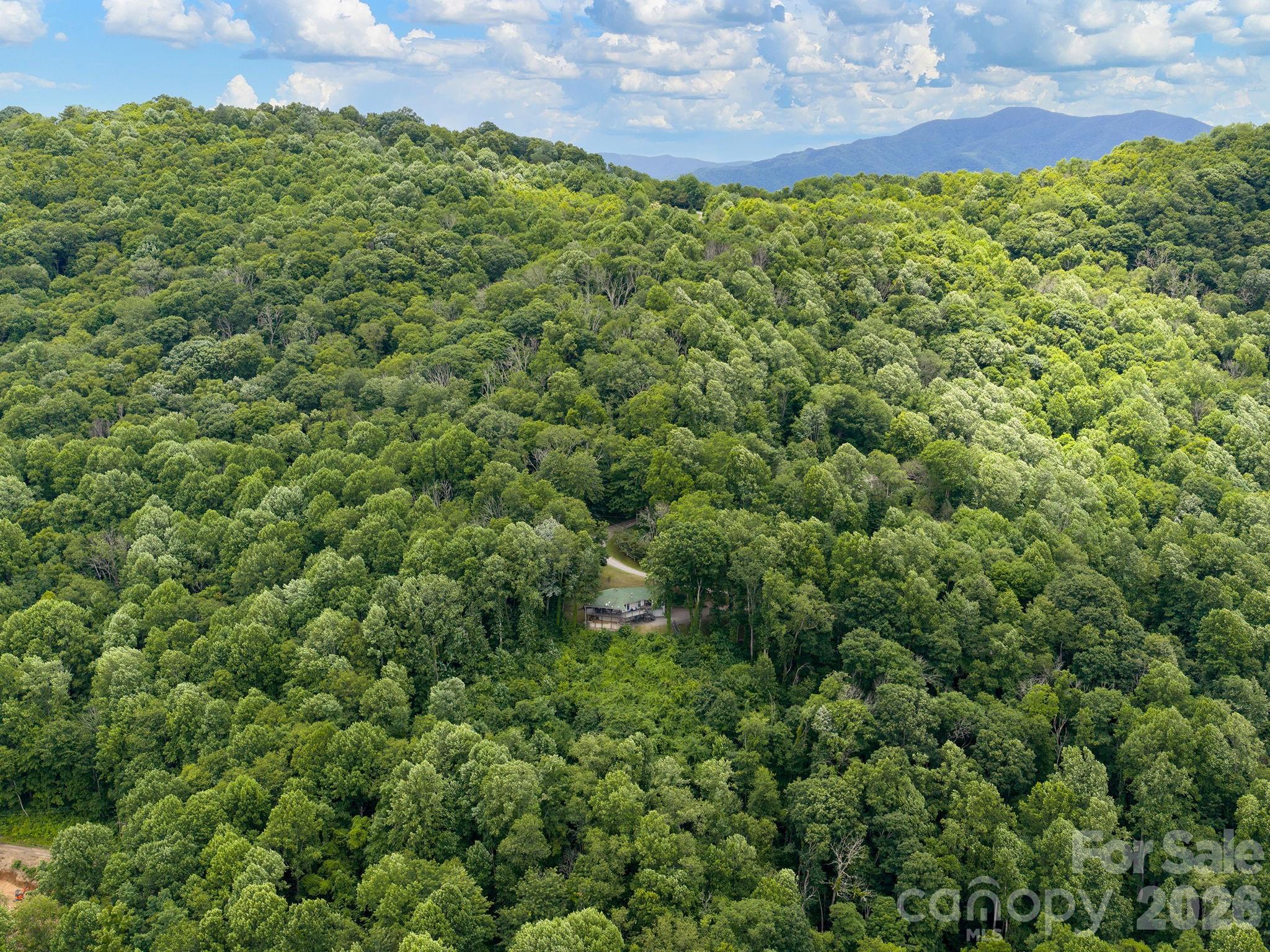 153 Windalier Lane — Waynesville