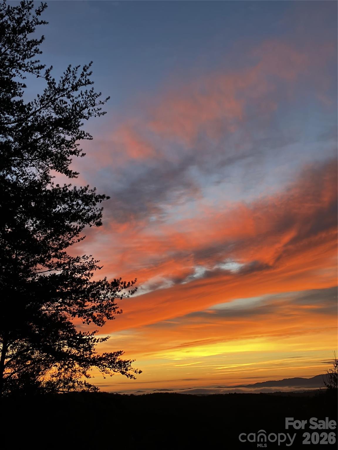 1016 Horizon Trail — Nebo