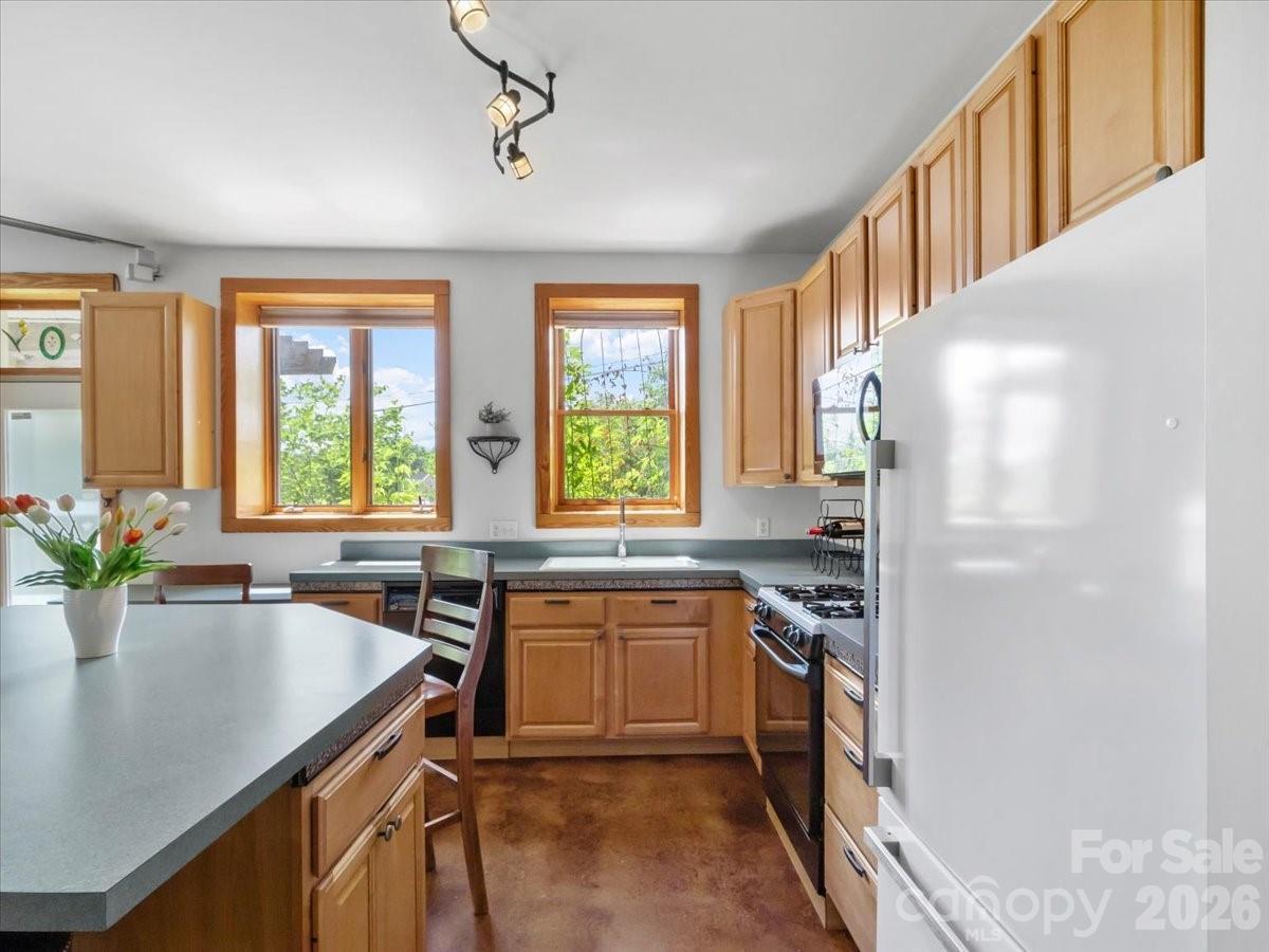 96 Woodrow Avenue — Asheville