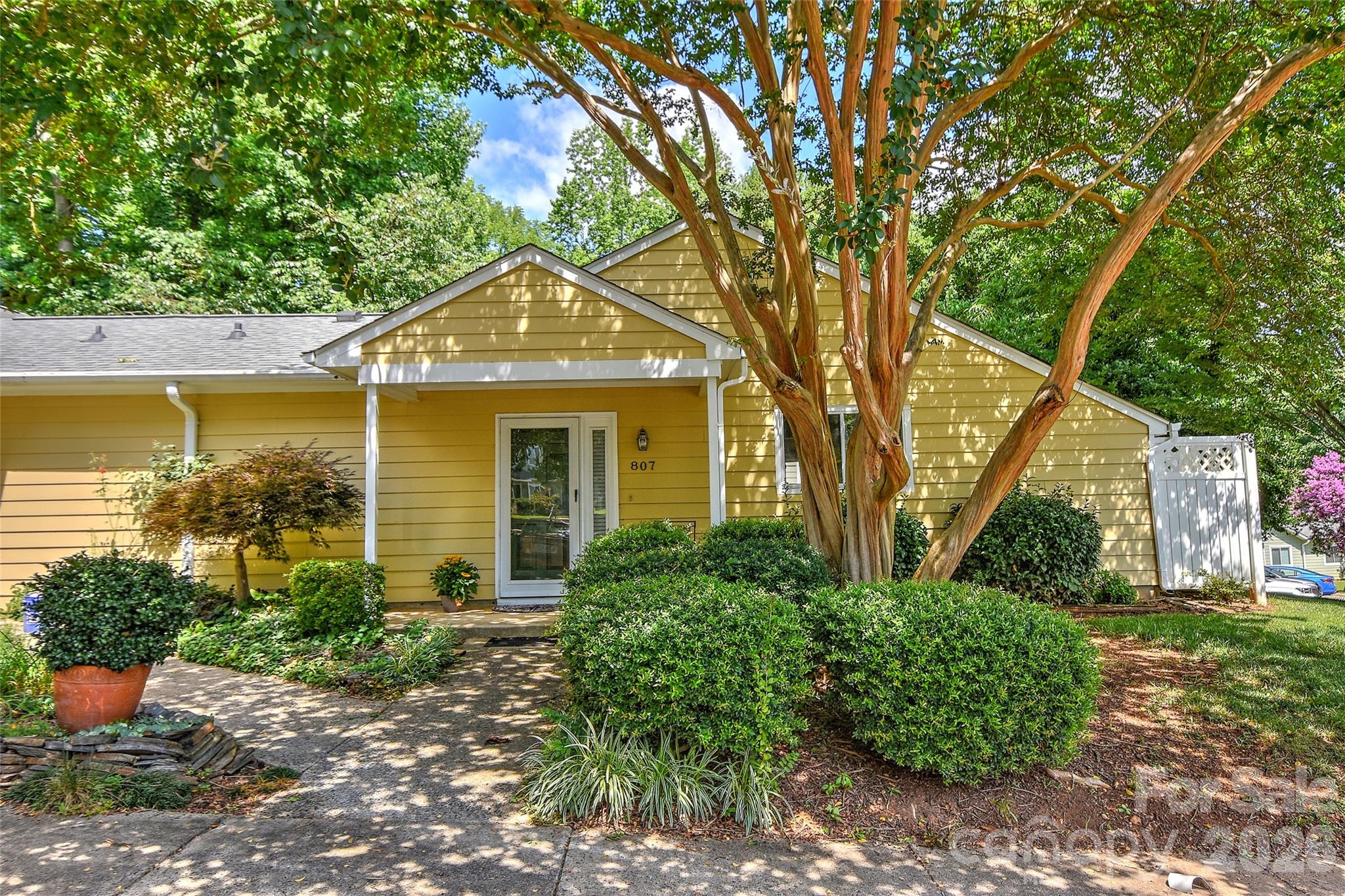 807 Sardis Cove Drive — Charlotte