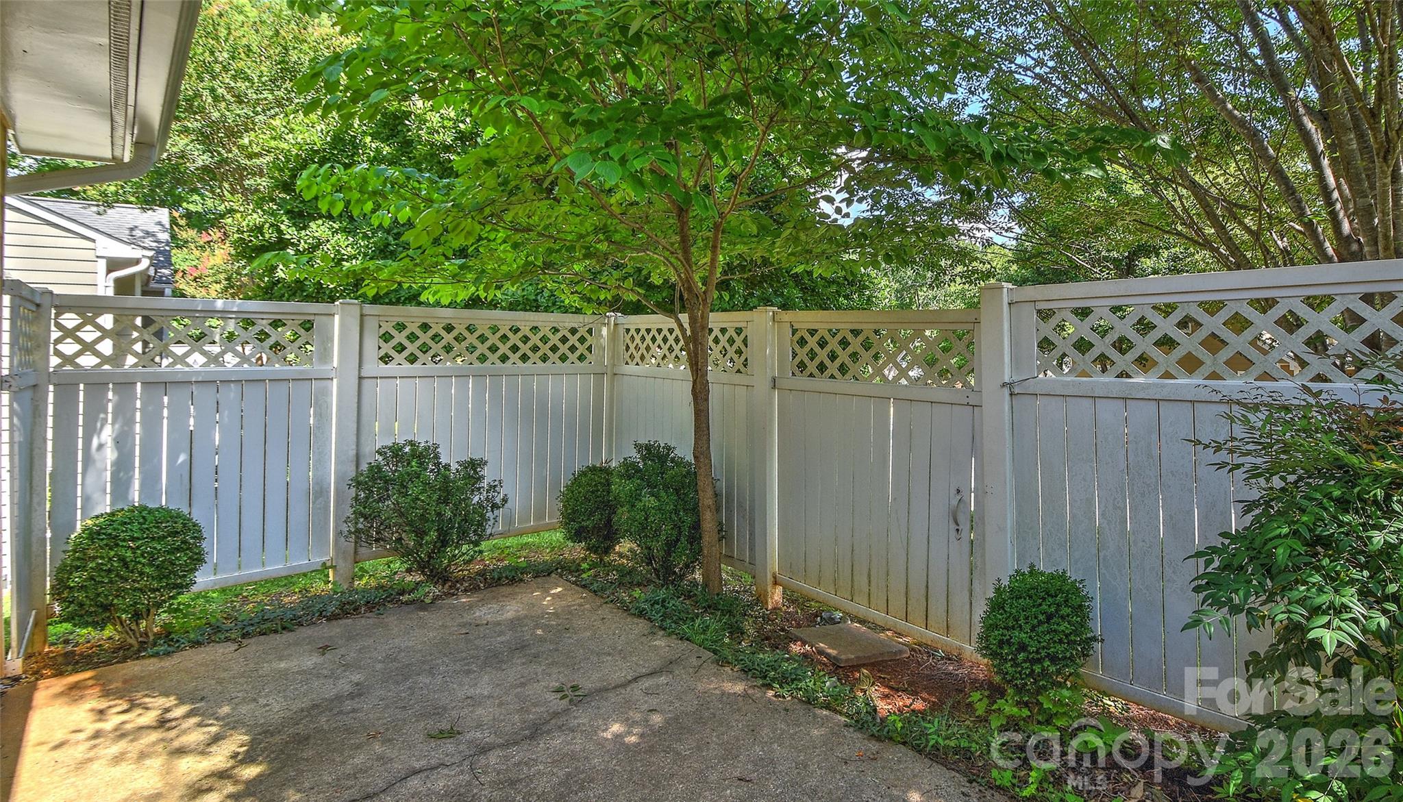 807 Sardis Cove Drive — Charlotte
