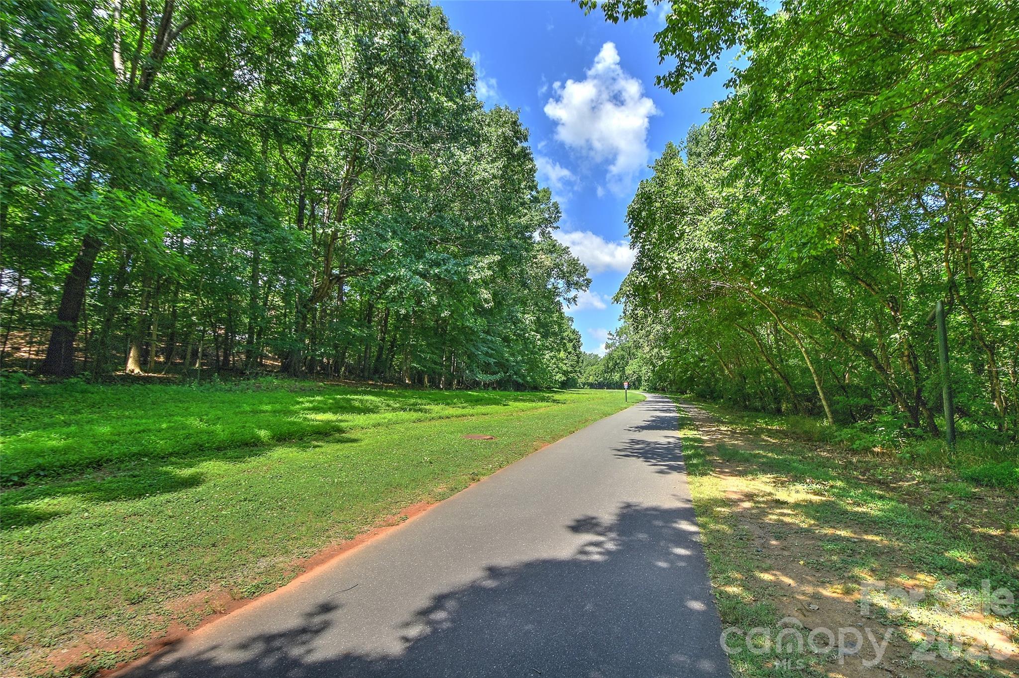 807 Sardis Cove Drive — Charlotte