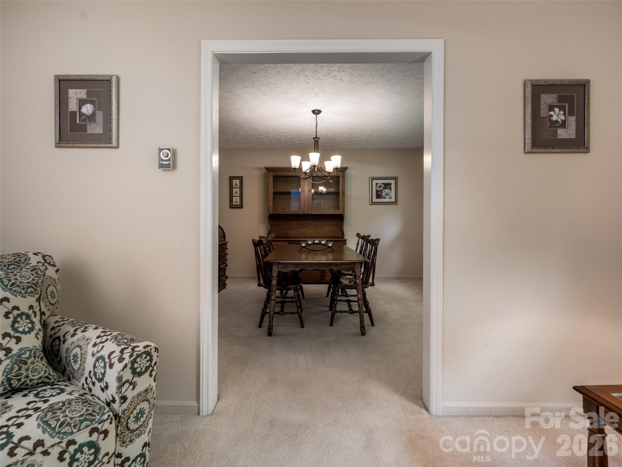 29 Jean Drive — Asheville