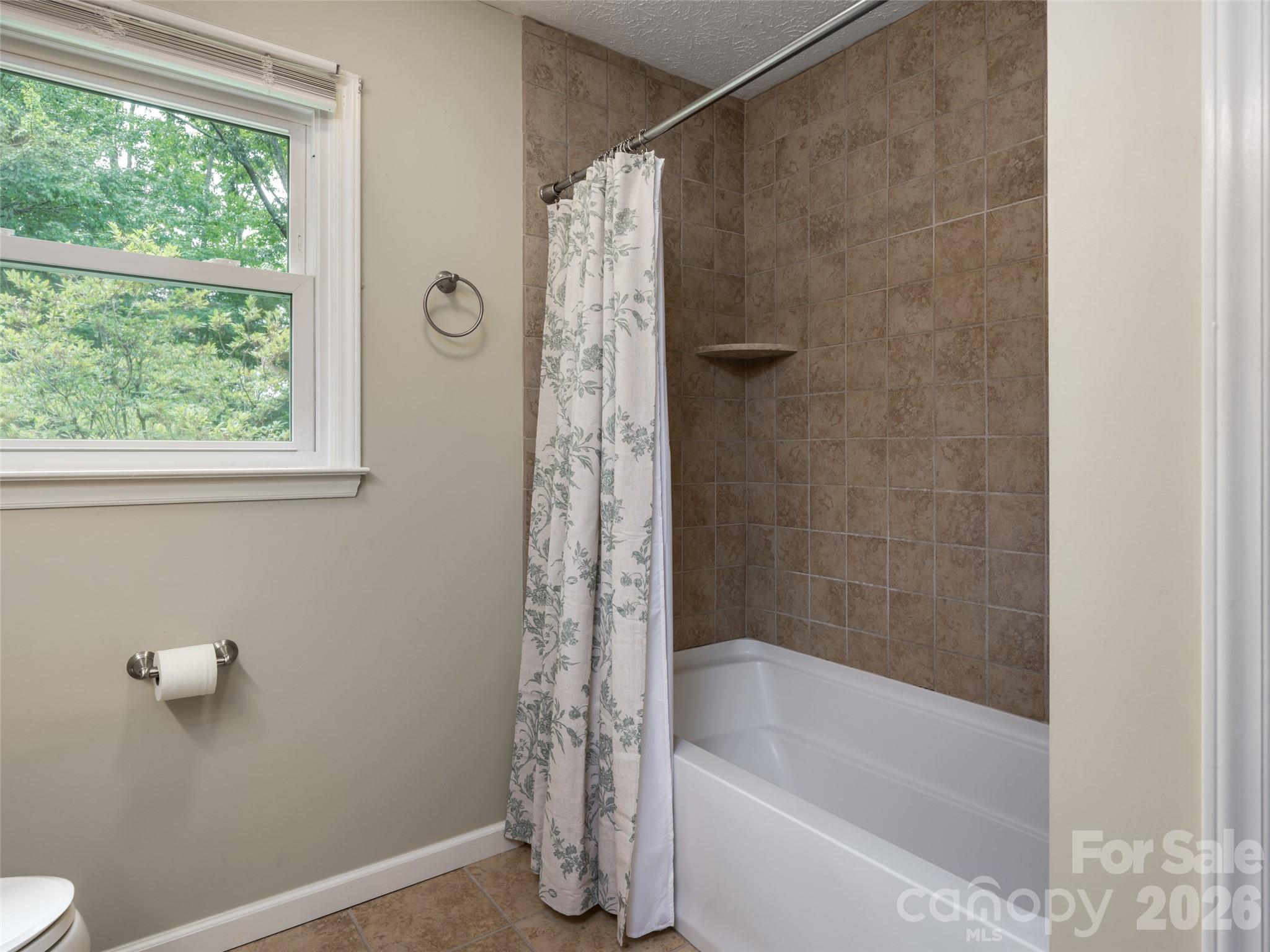 29 Jean Drive — Asheville