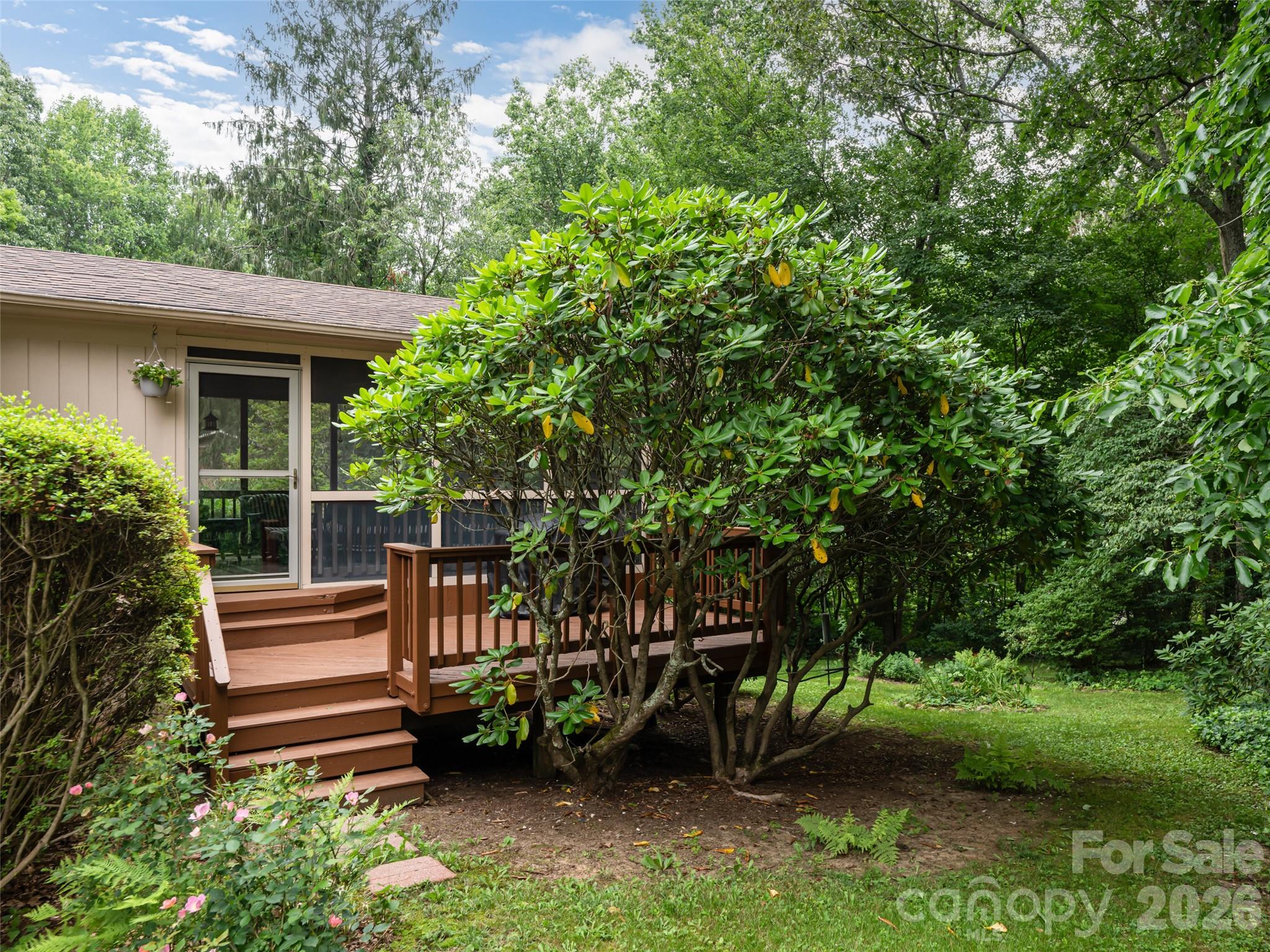 29 Jean Drive — Asheville