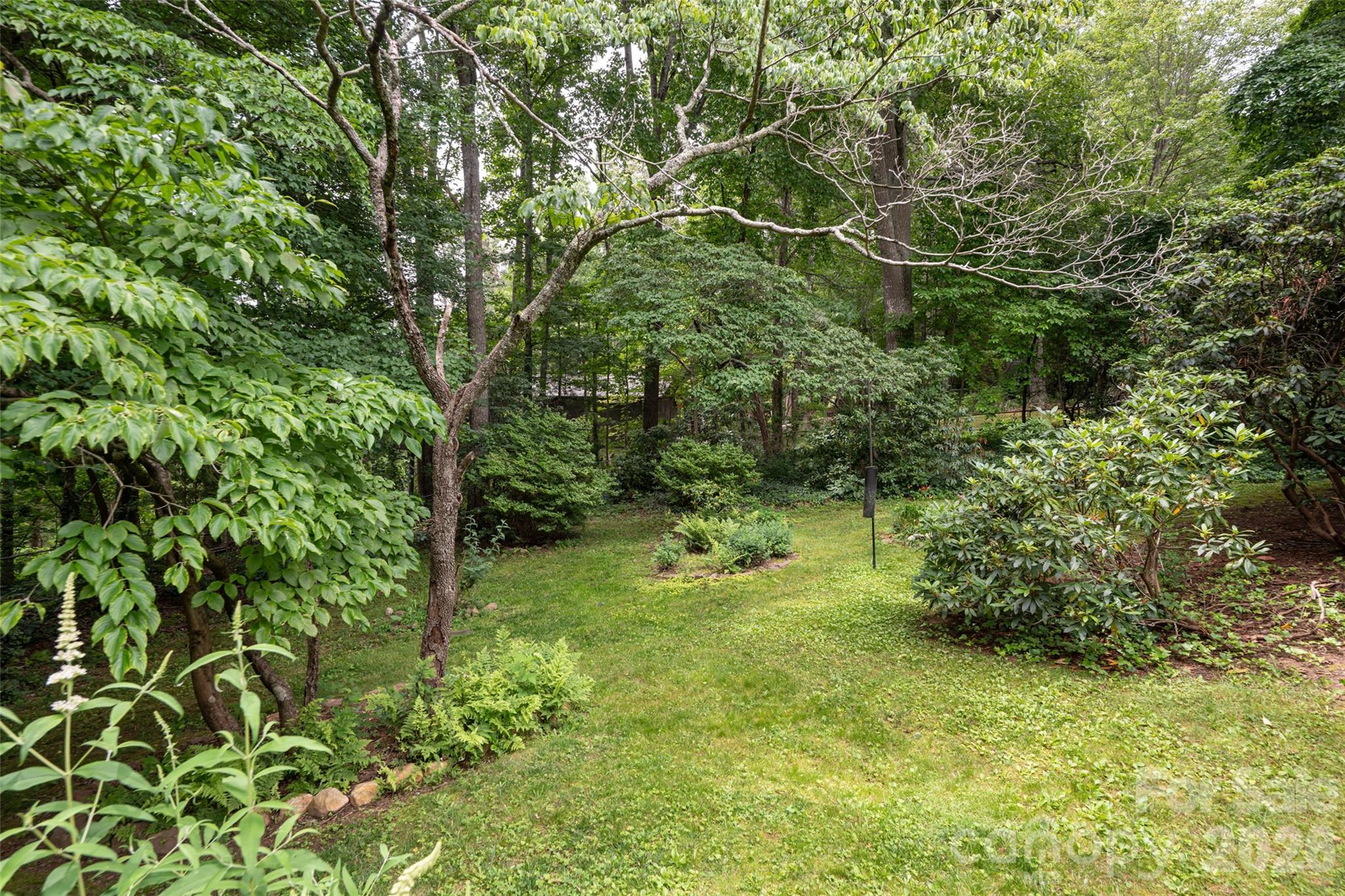 29 Jean Drive — Asheville