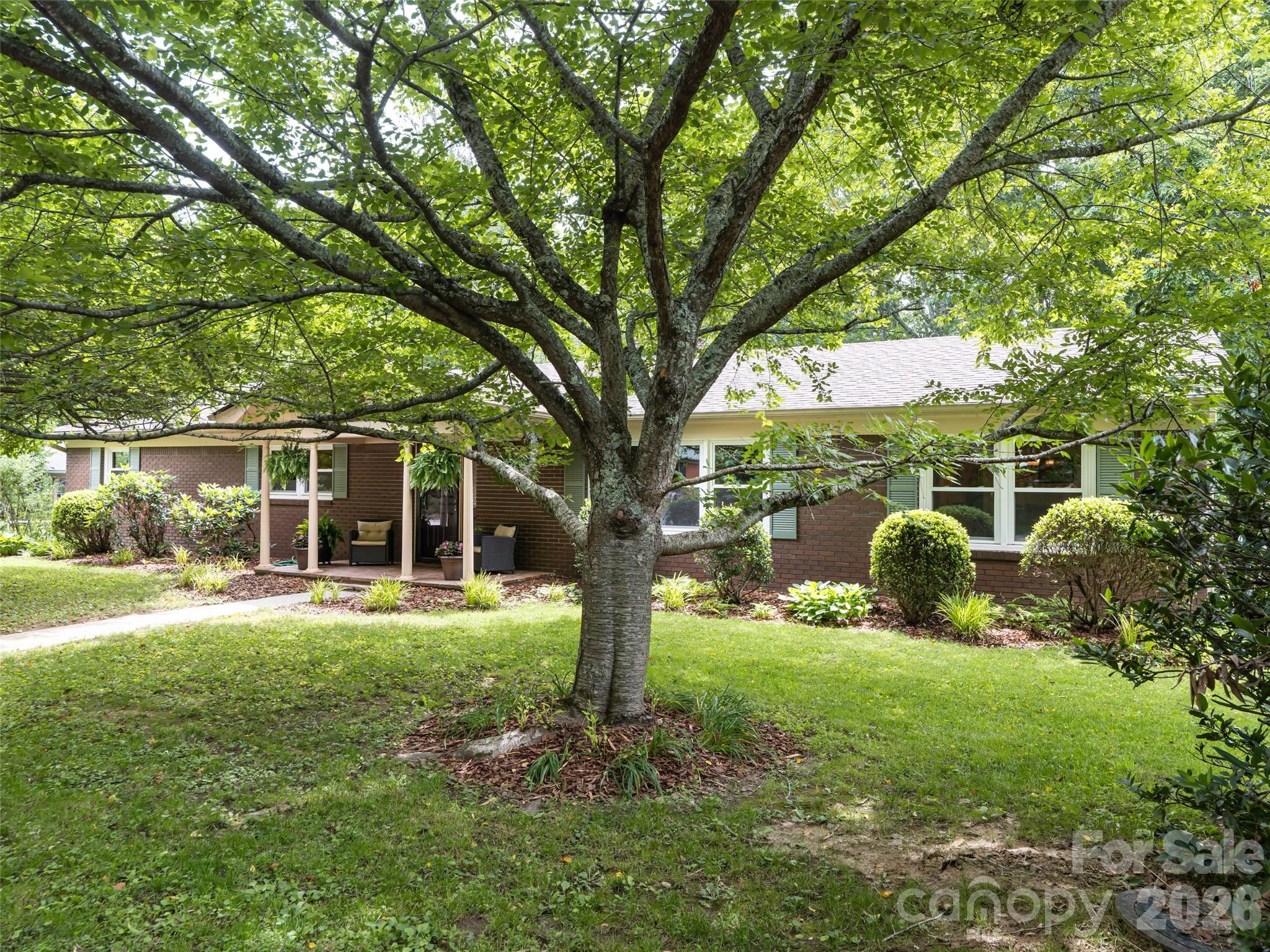 29 Jean Drive — Asheville