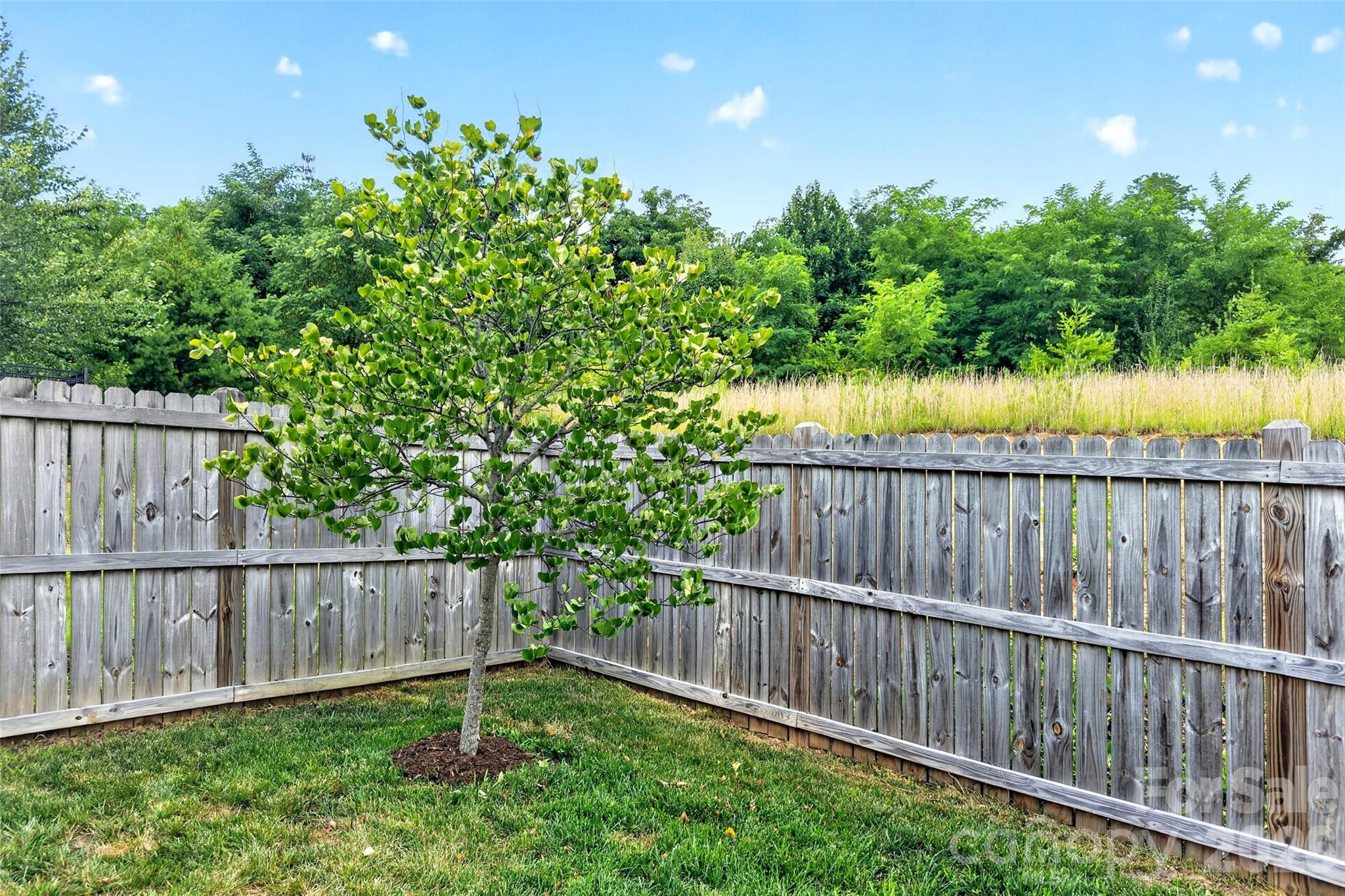 22 Tudor Way — Black Mountain