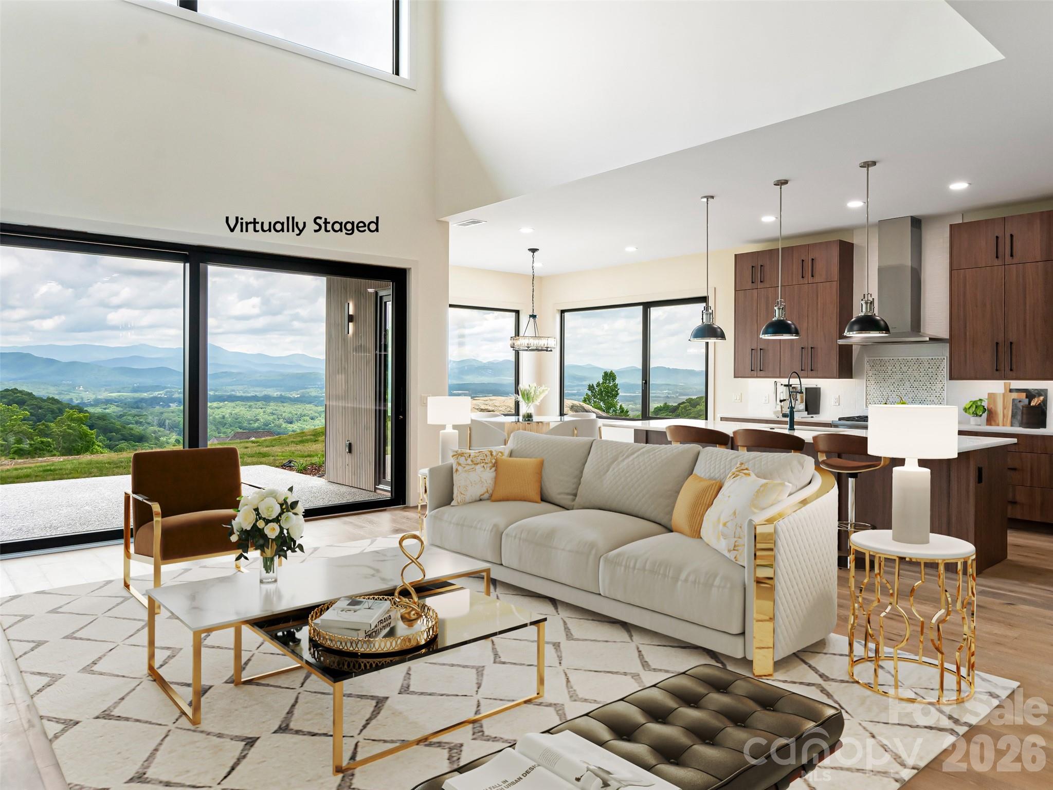 24 S Watchman Drive #10 & 11 — Hendersonville