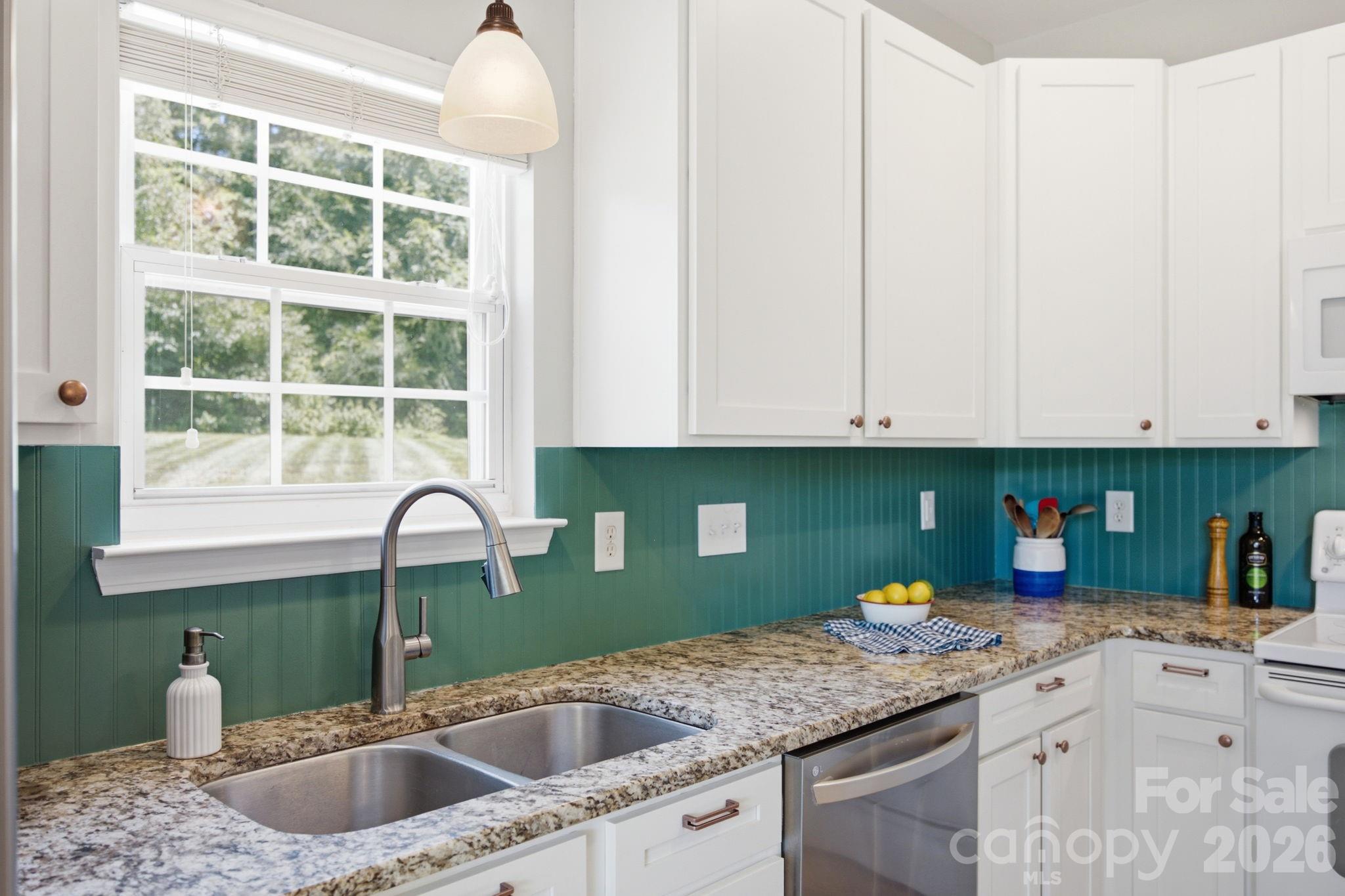 10311 Watoga Way — Cornelius