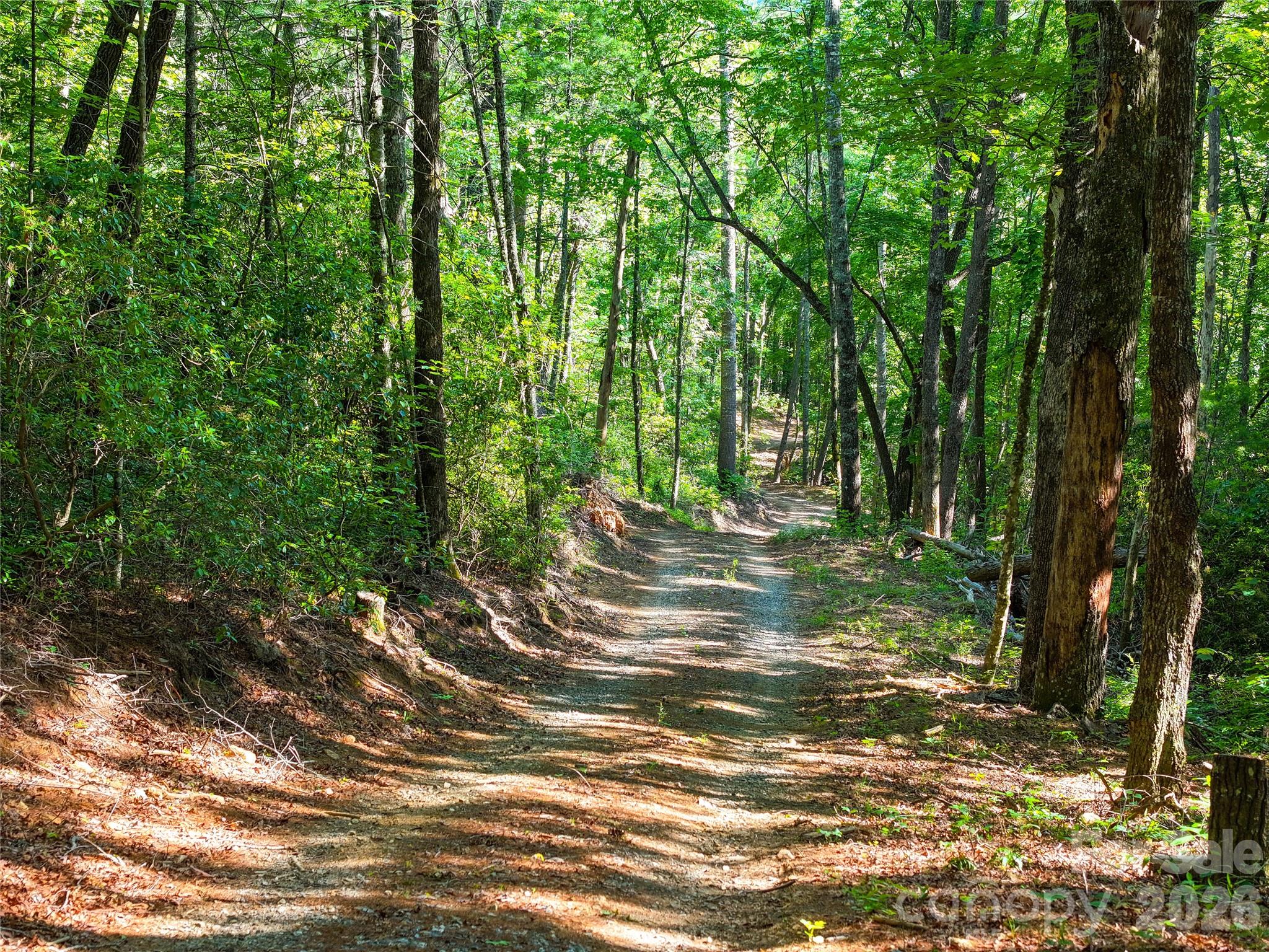 4017 Canada Road — Tuckasegee