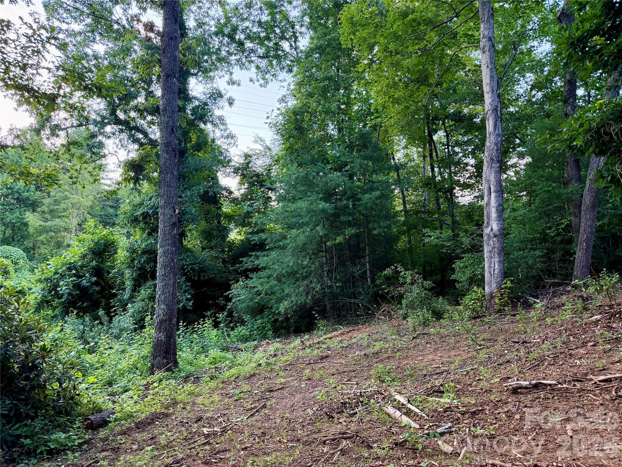 251 Cox Road — Pisgah Forest