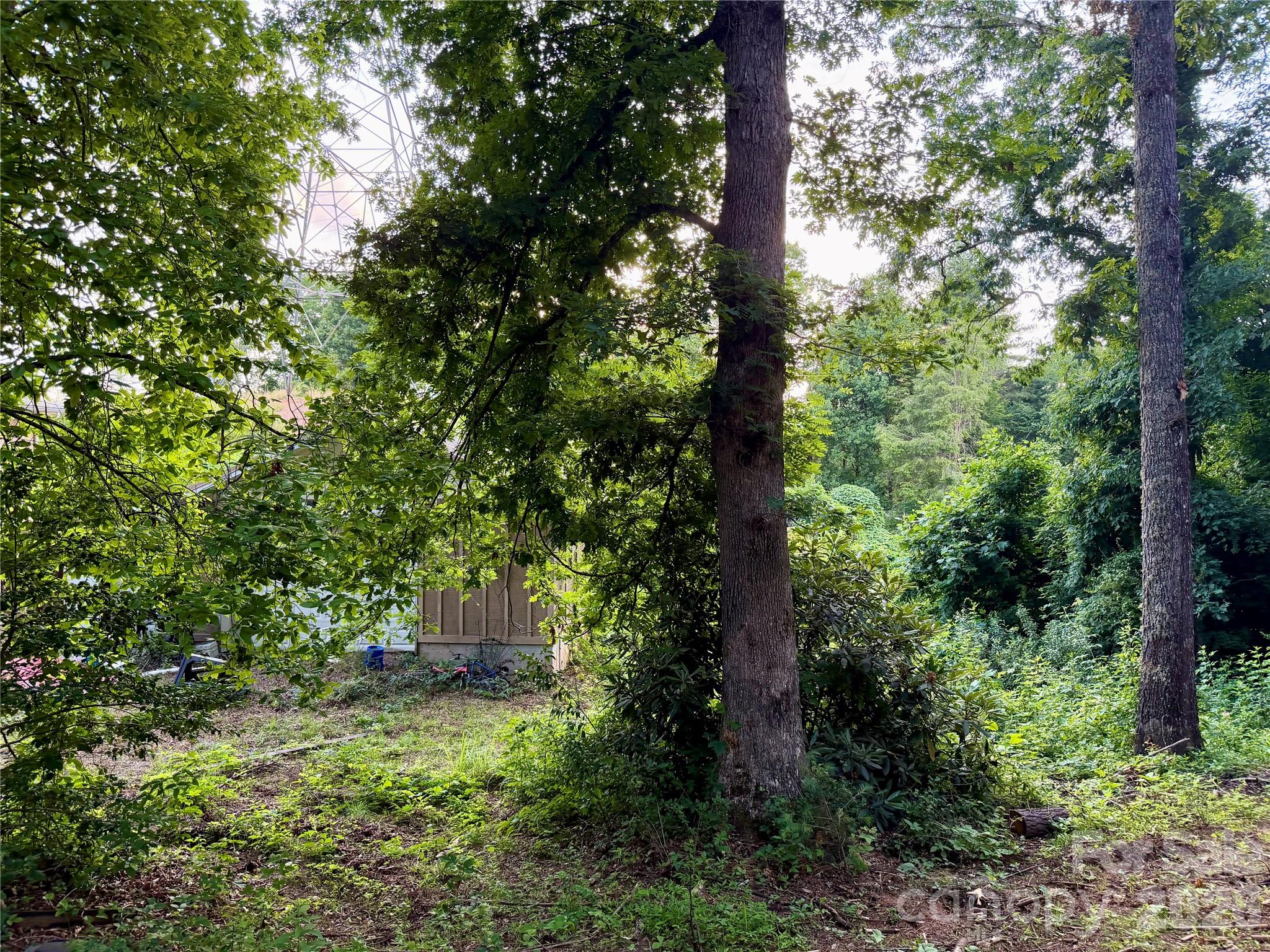 251 Cox Road — Pisgah Forest