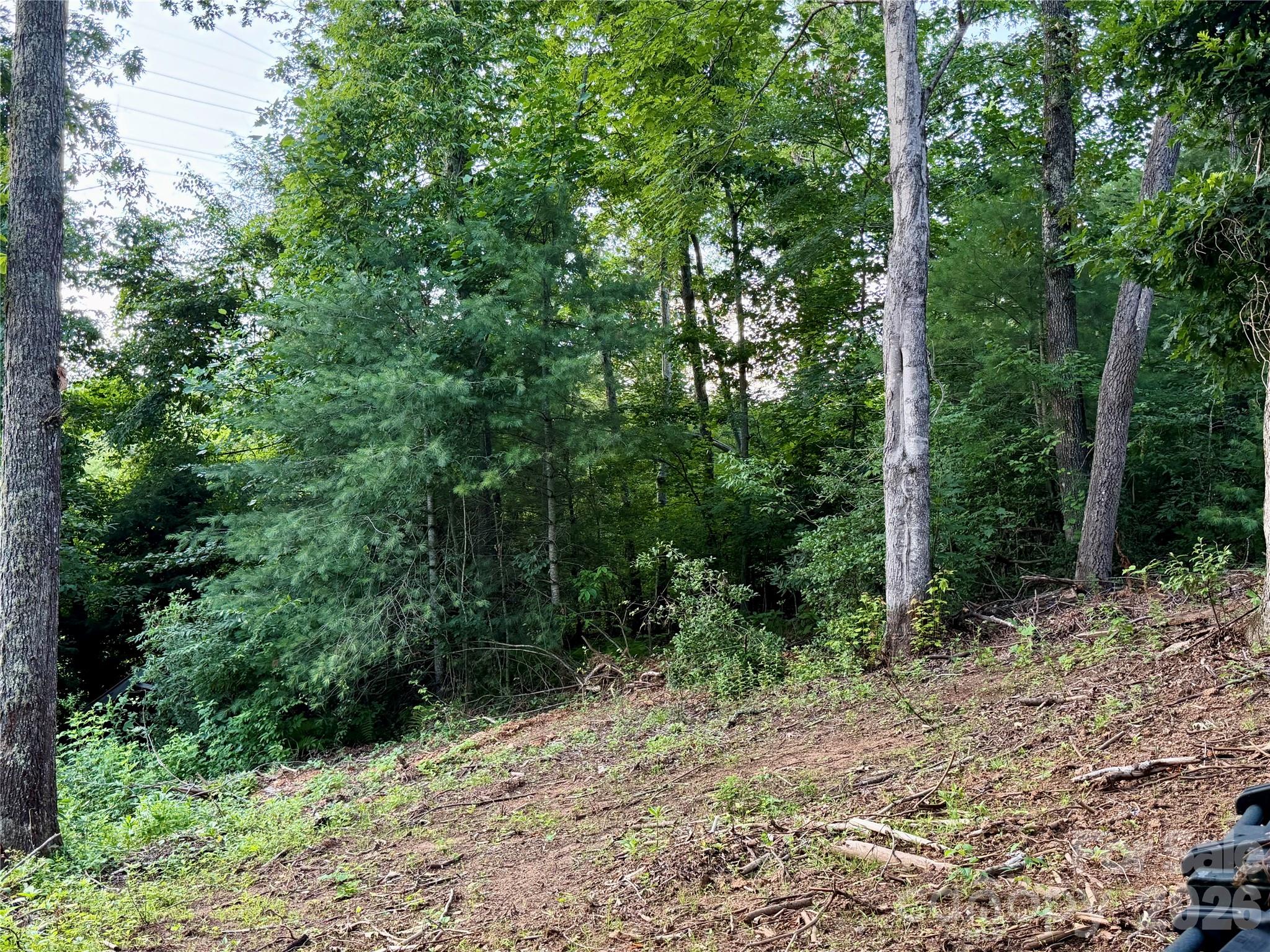 251 Cox Road — Pisgah Forest