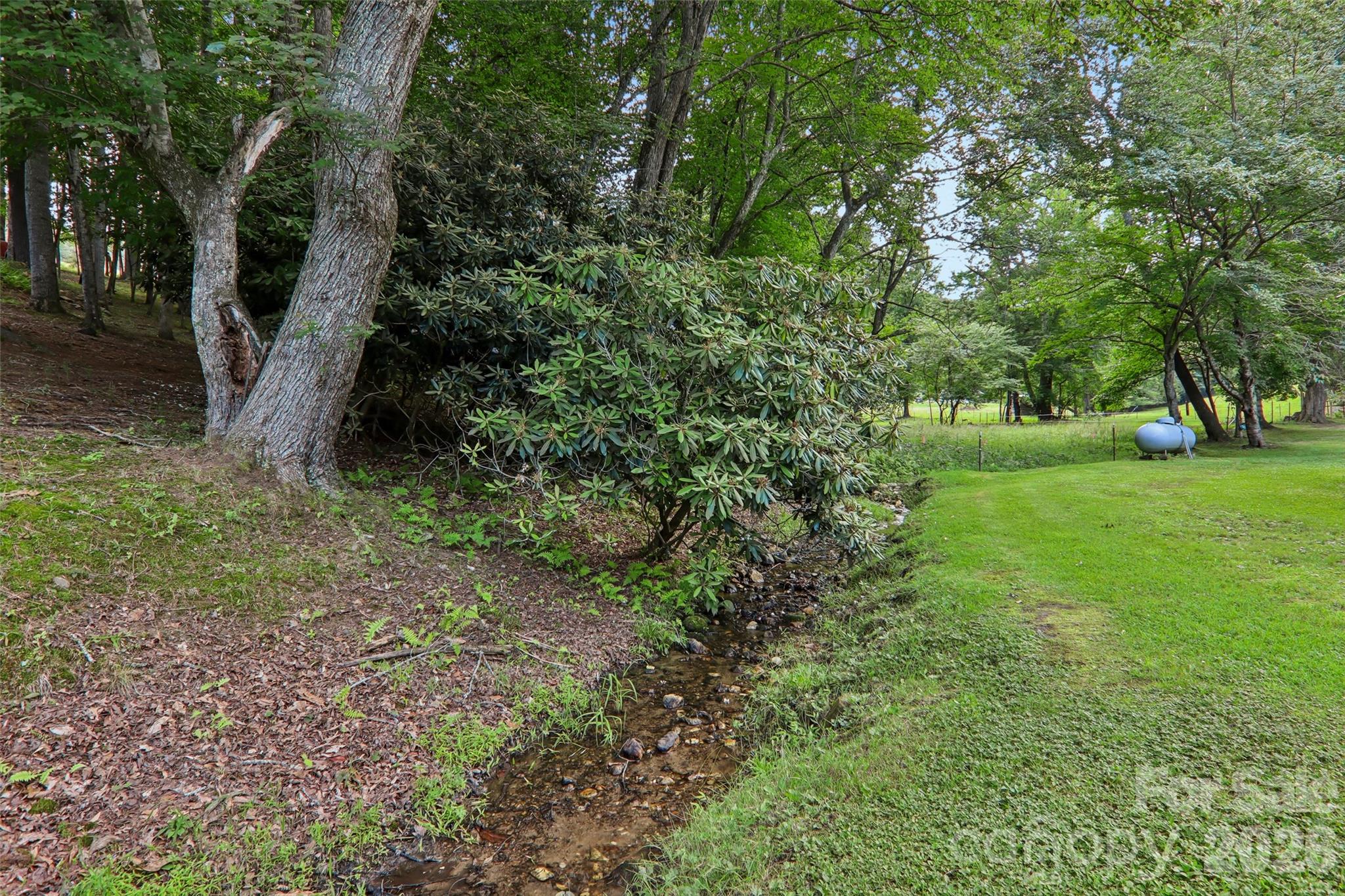 611 Reeves Cove Road — Candler