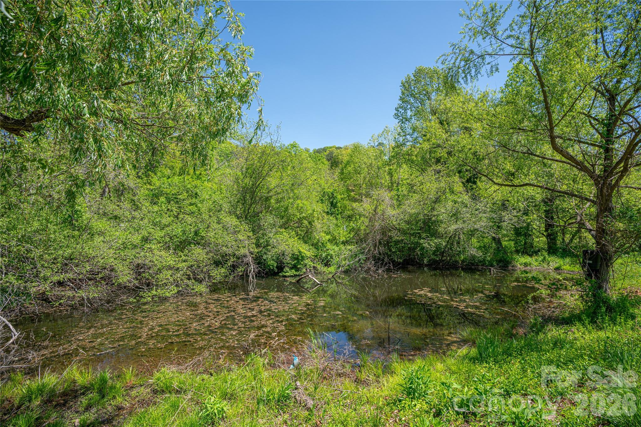 7 Lula Cove Road — Weaverville