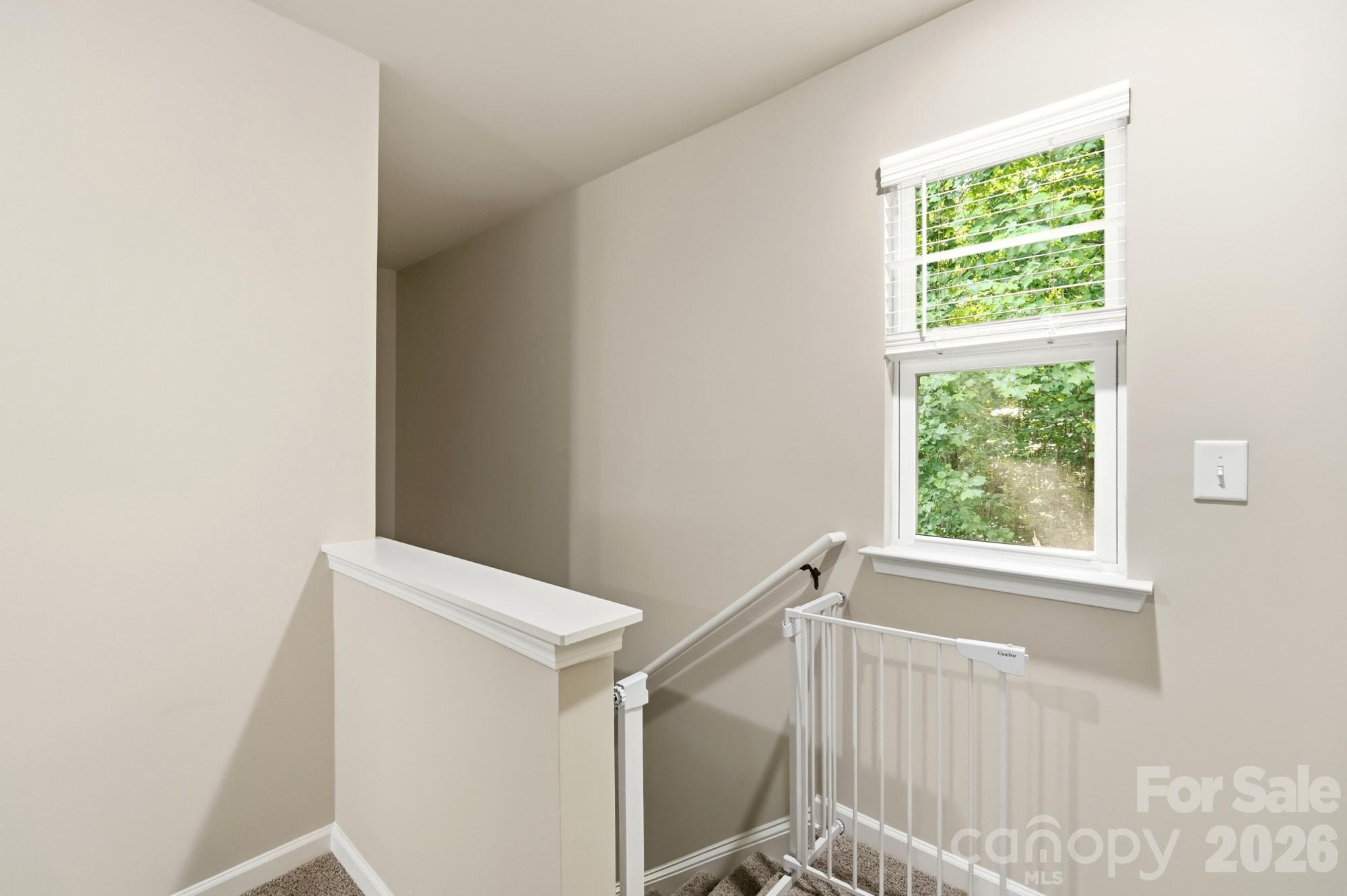 4005 Ruth Creek Court — Charlotte