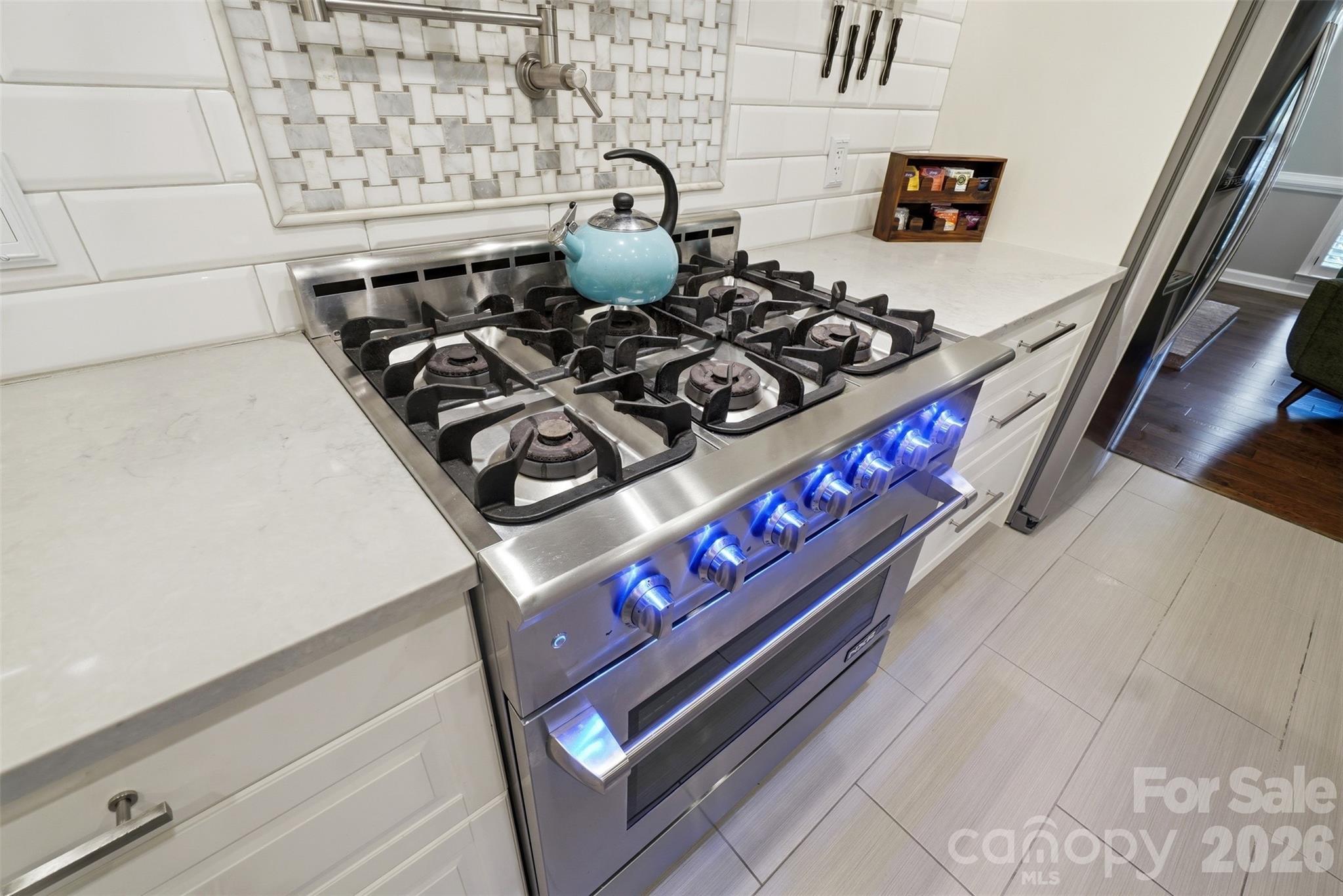 1112 Long Paw Lane — Charlotte