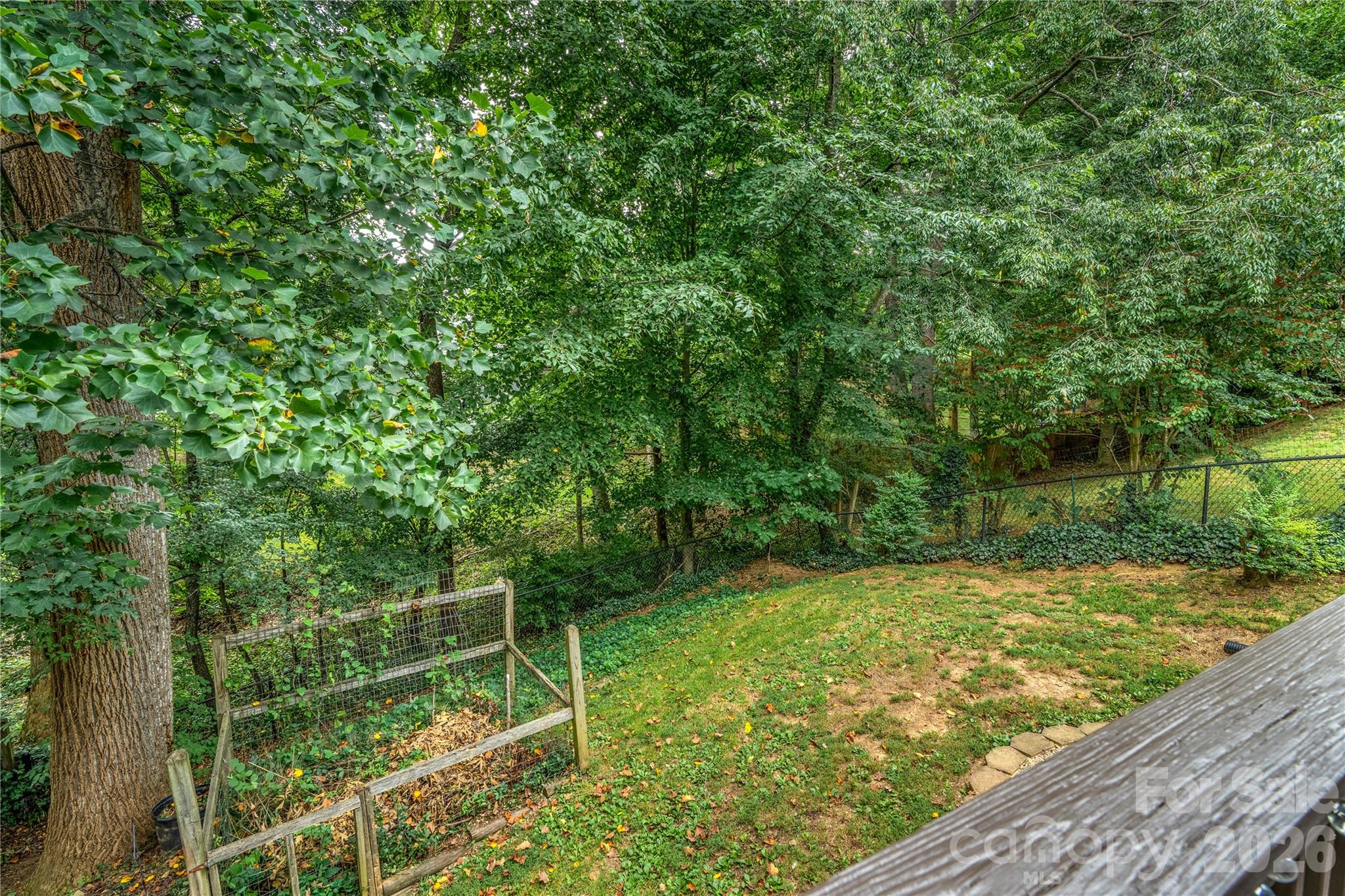 41 Wilmington Street — Asheville