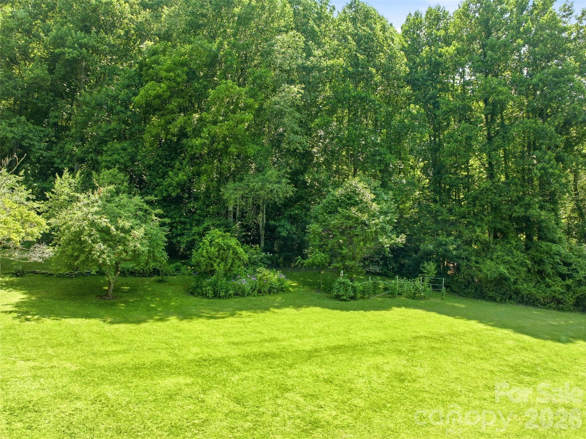 252 Big Stomp Road — Waynesville