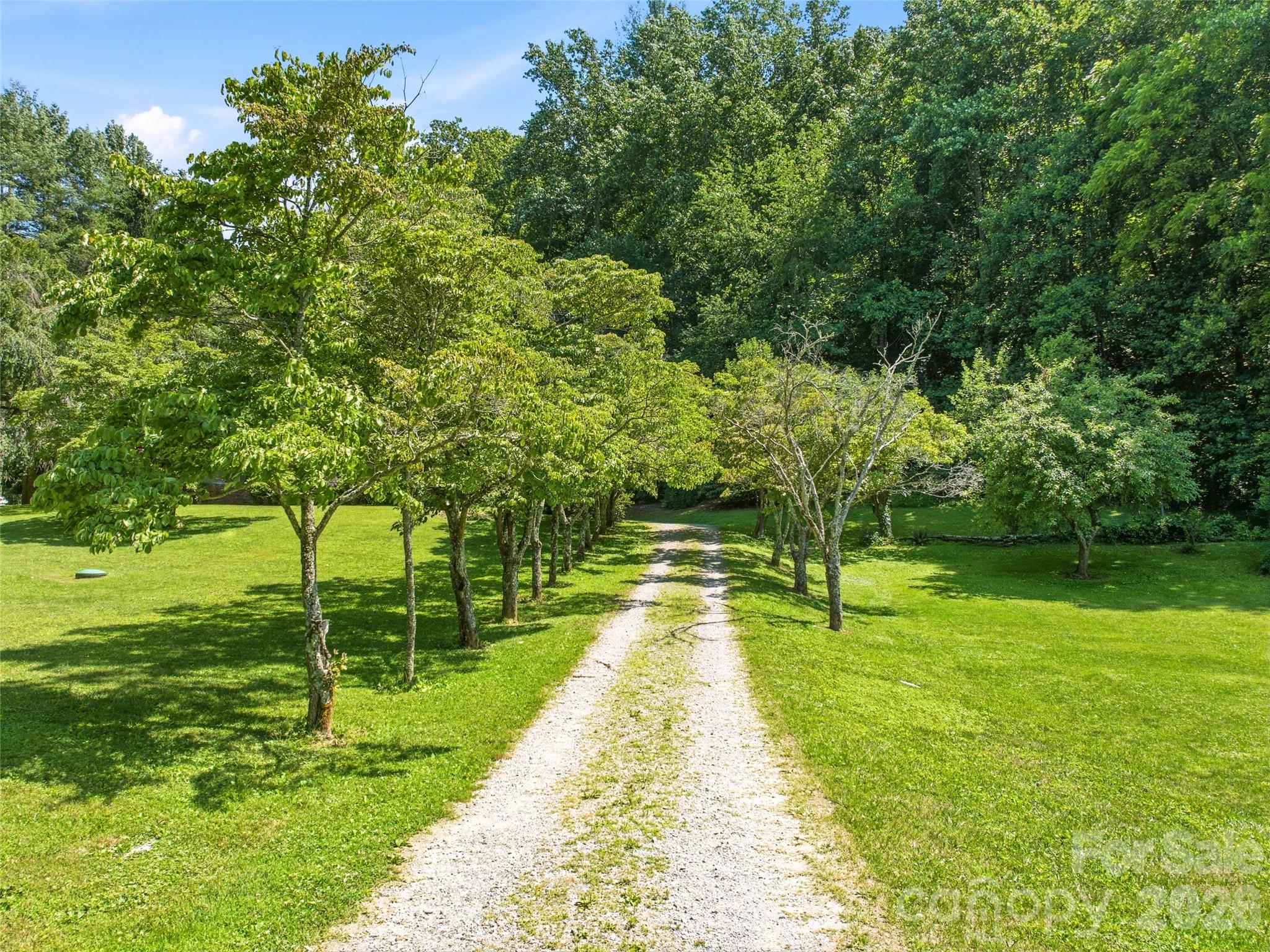 252 Big Stomp Road — Waynesville