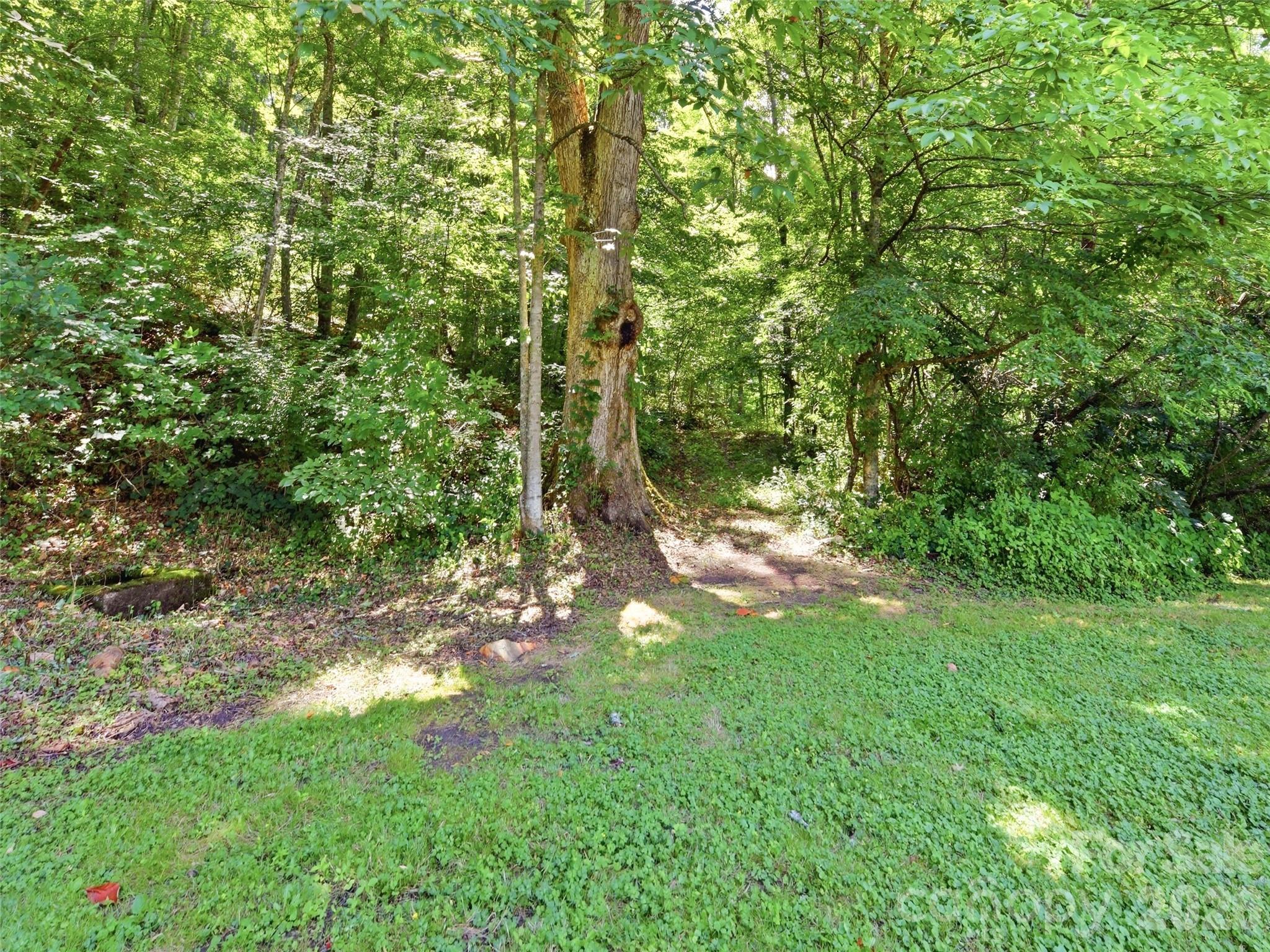 252 Big Stomp Road — Waynesville