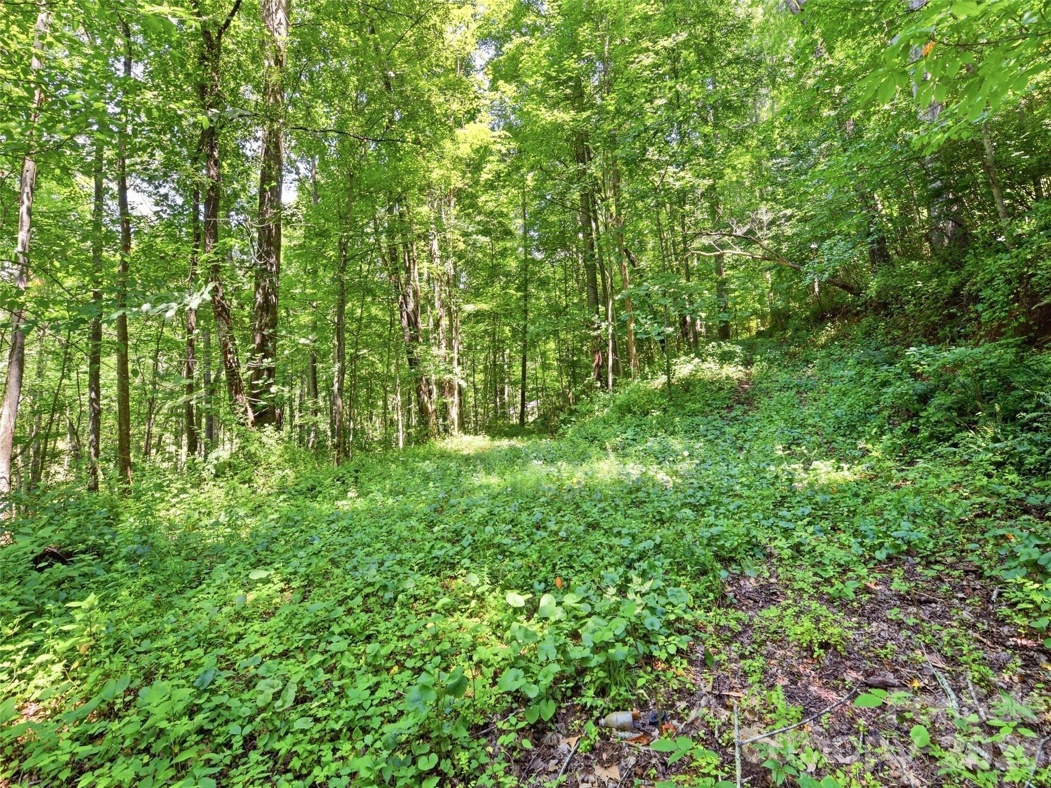 252 Big Stomp Road — Waynesville
