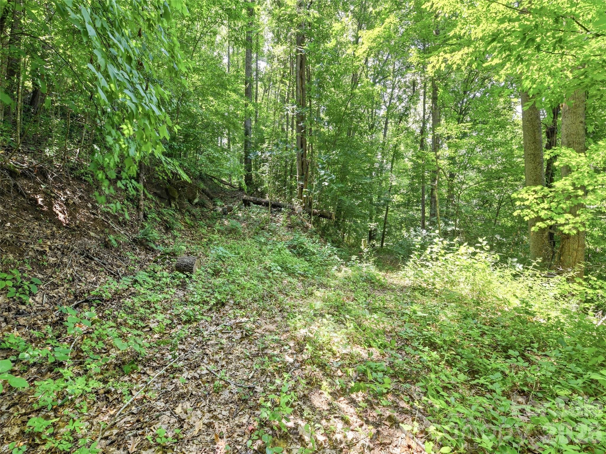 252 Big Stomp Road — Waynesville