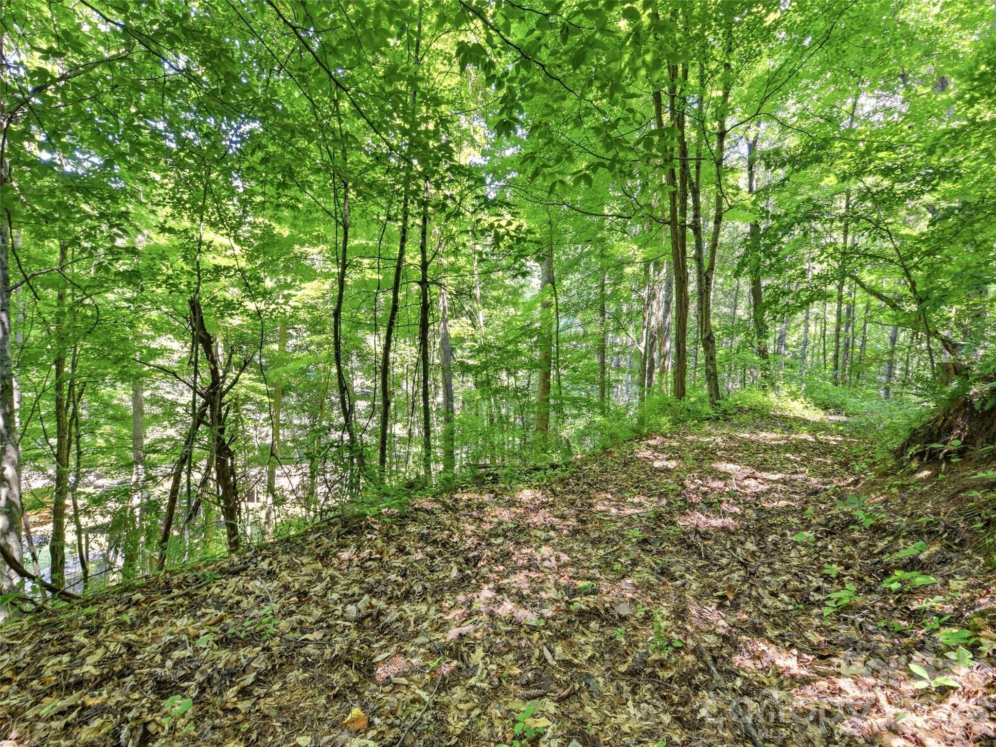 252 Big Stomp Road — Waynesville