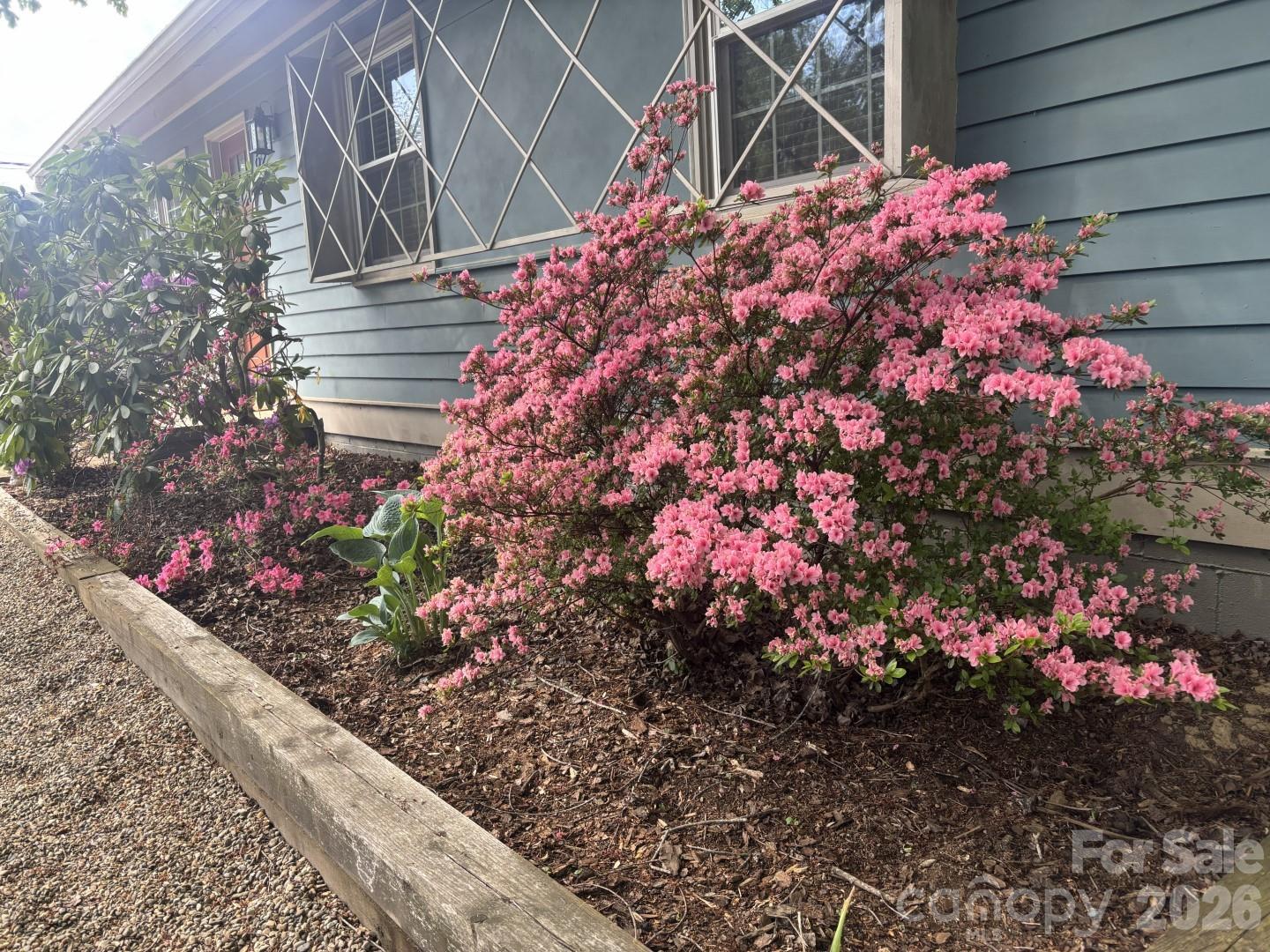 62 1st Street — Asheville