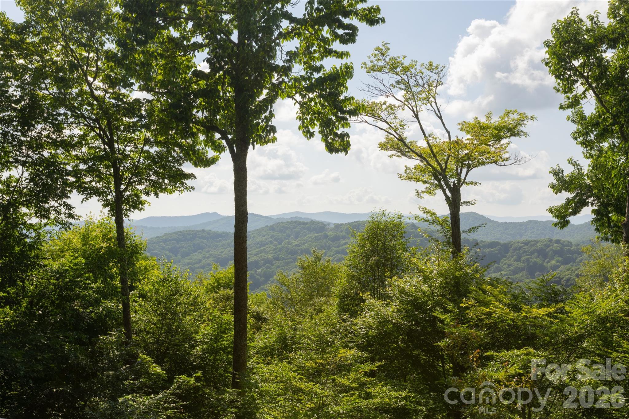 3182 El Miner Drive — Mars Hill
